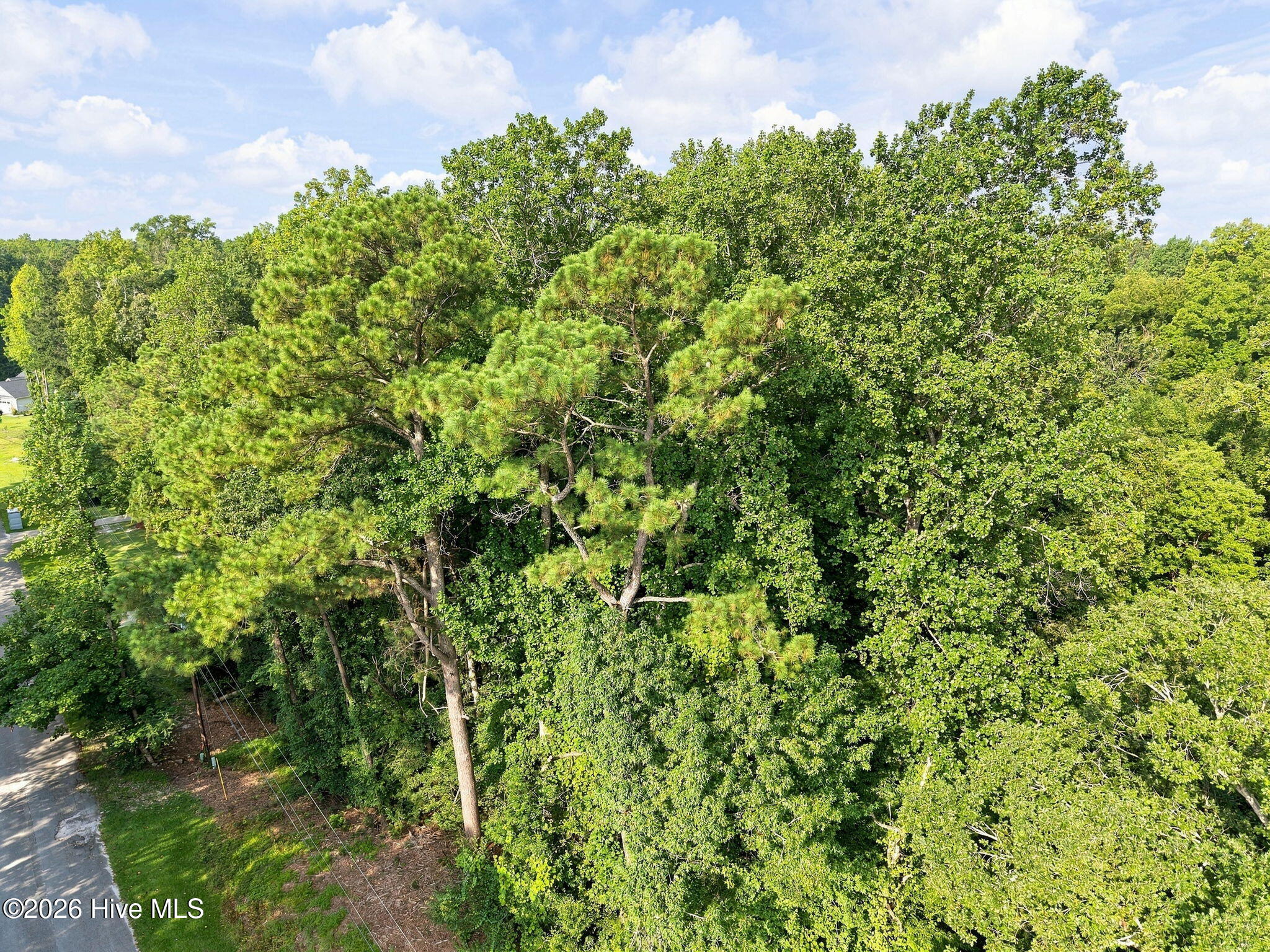 410 Candlewood Drive Property Photo 4