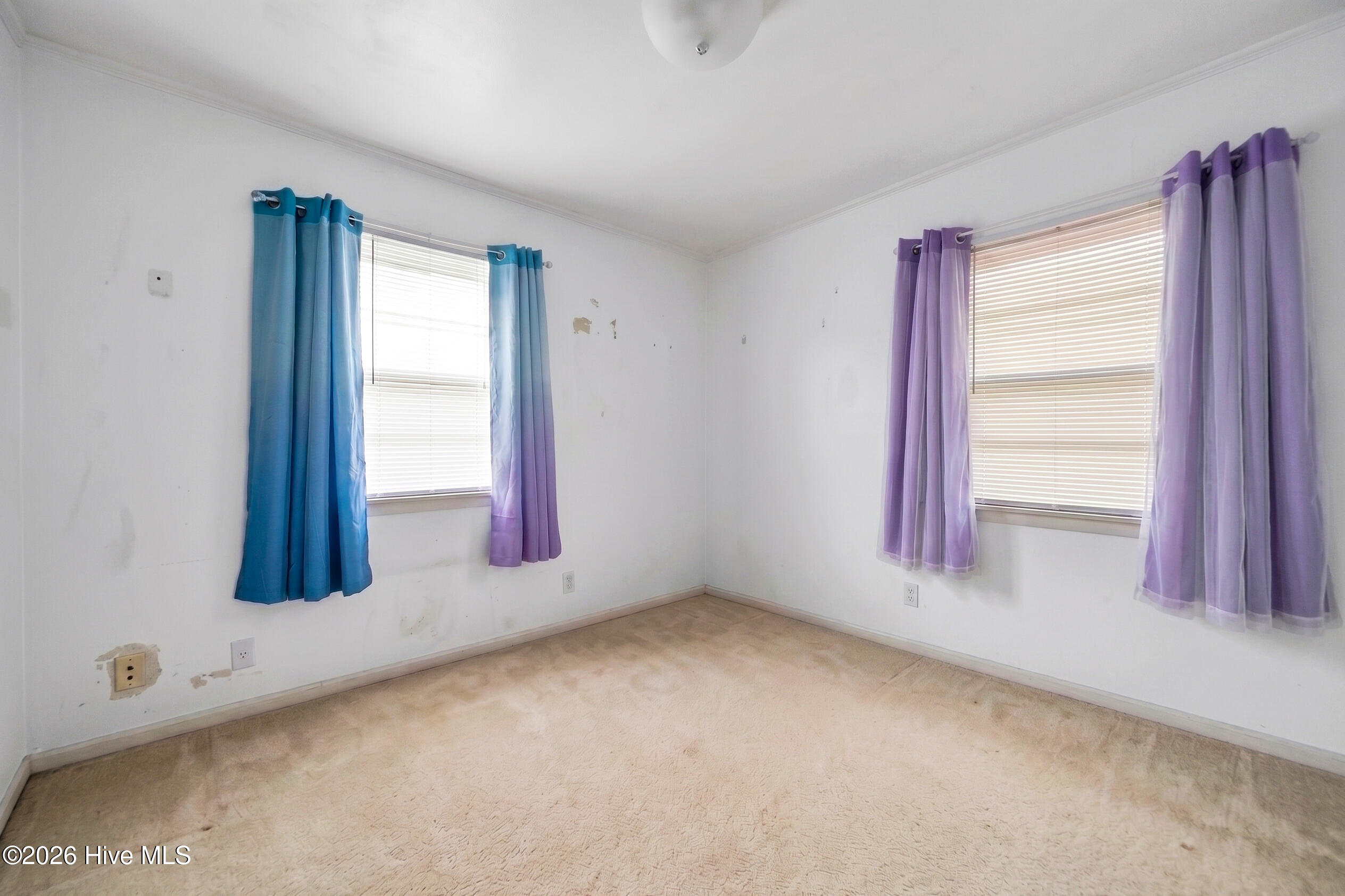 1109 E Northern Boulevard Property Photo 22