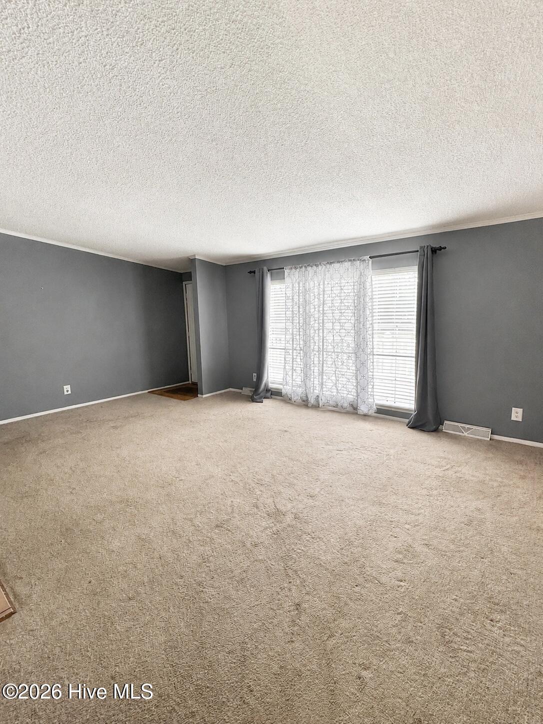 2202 Hollyhock Lane Property Photo 14