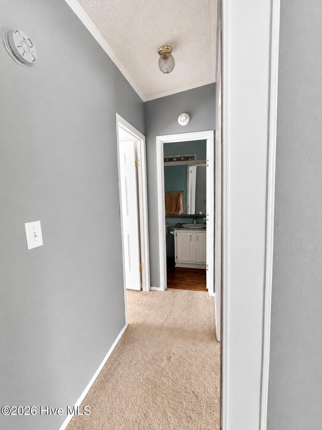2202 Hollyhock Lane Property Photo 16