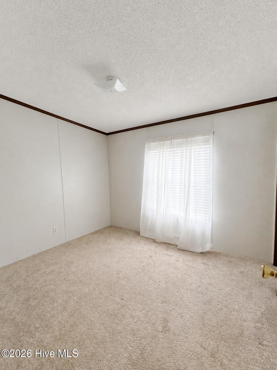 2202 Hollyhock Lane Property Photo 17