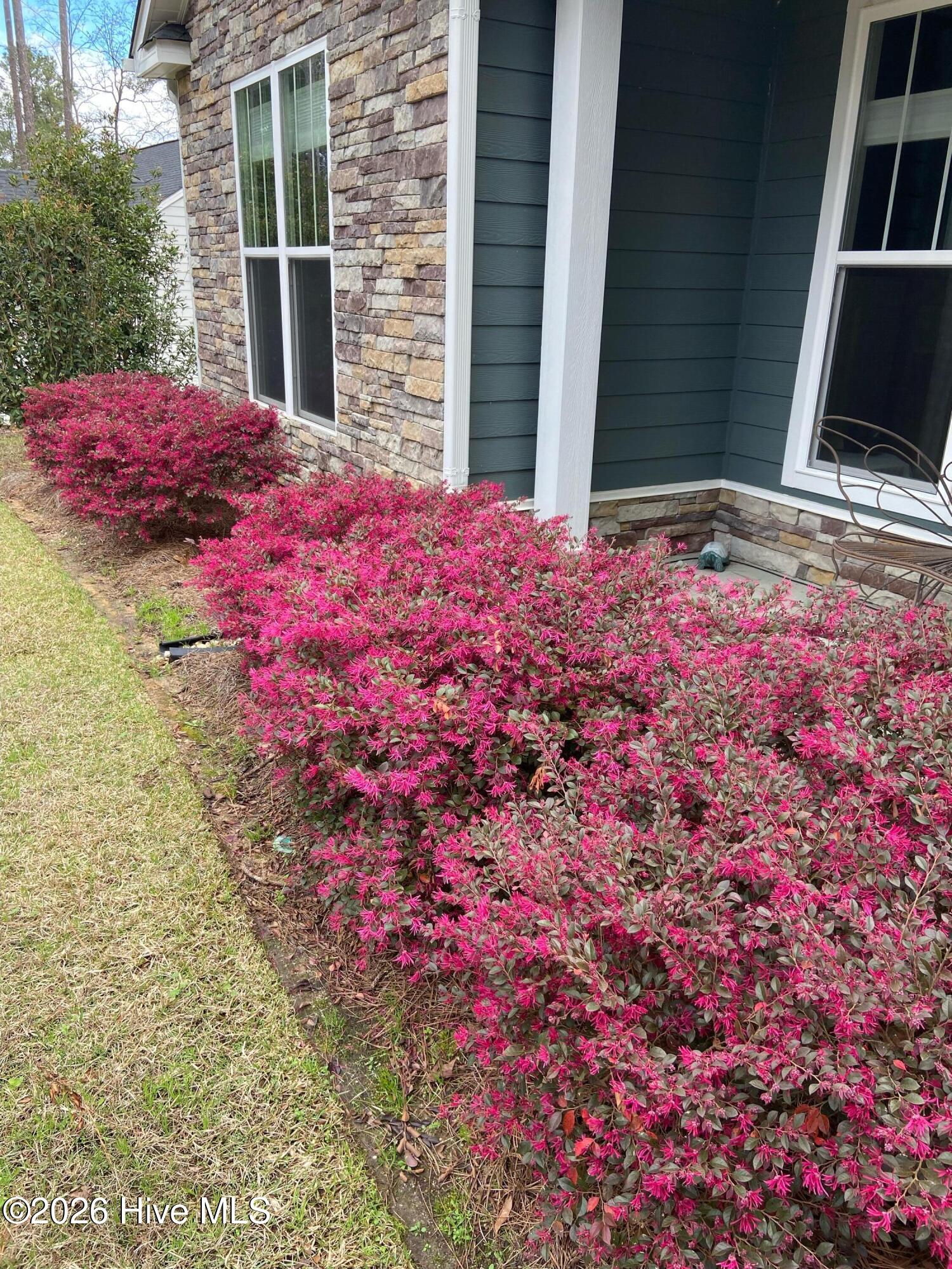 164 Savannah Drive Property Photo 10