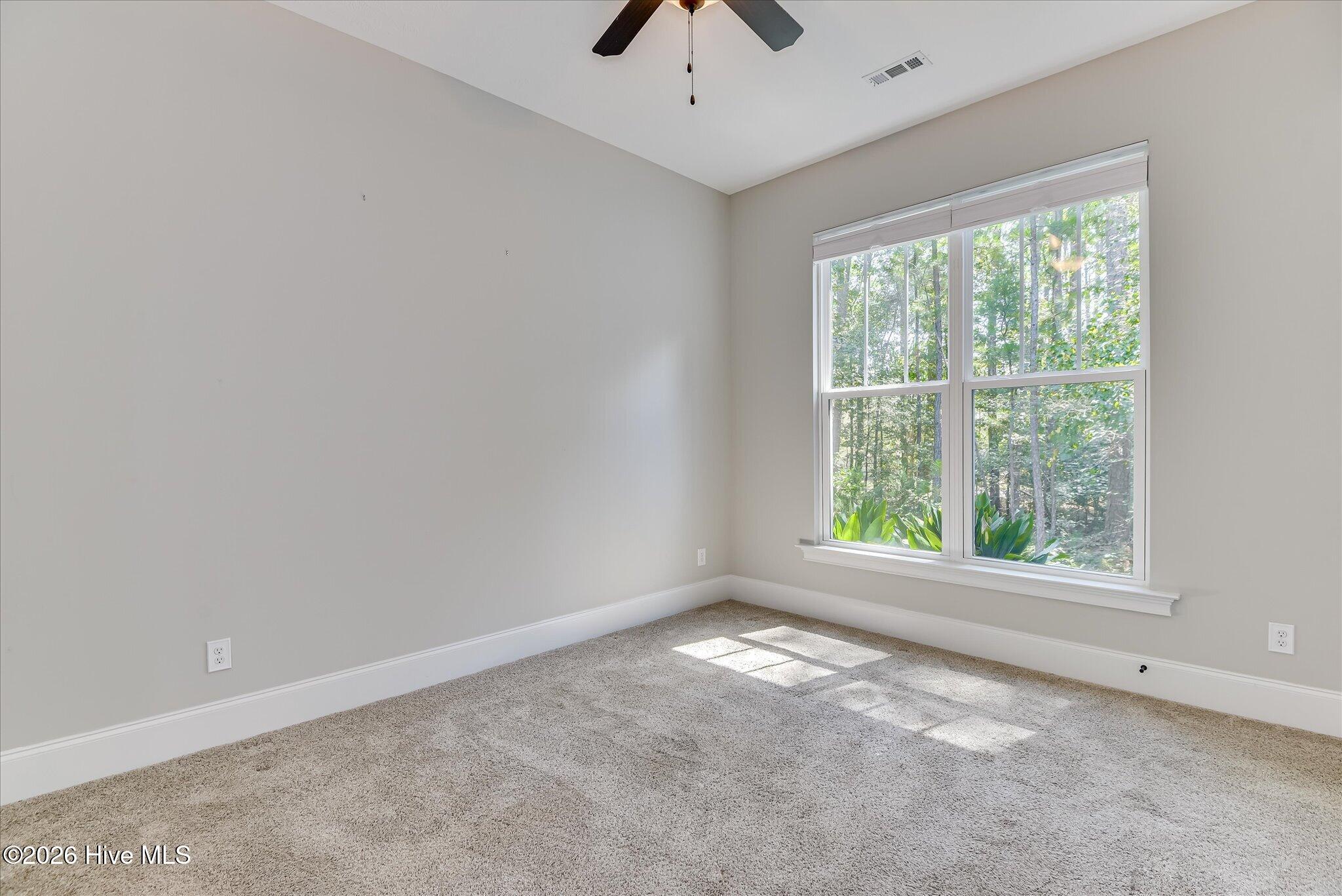 164 Savannah Drive Property Photo 42