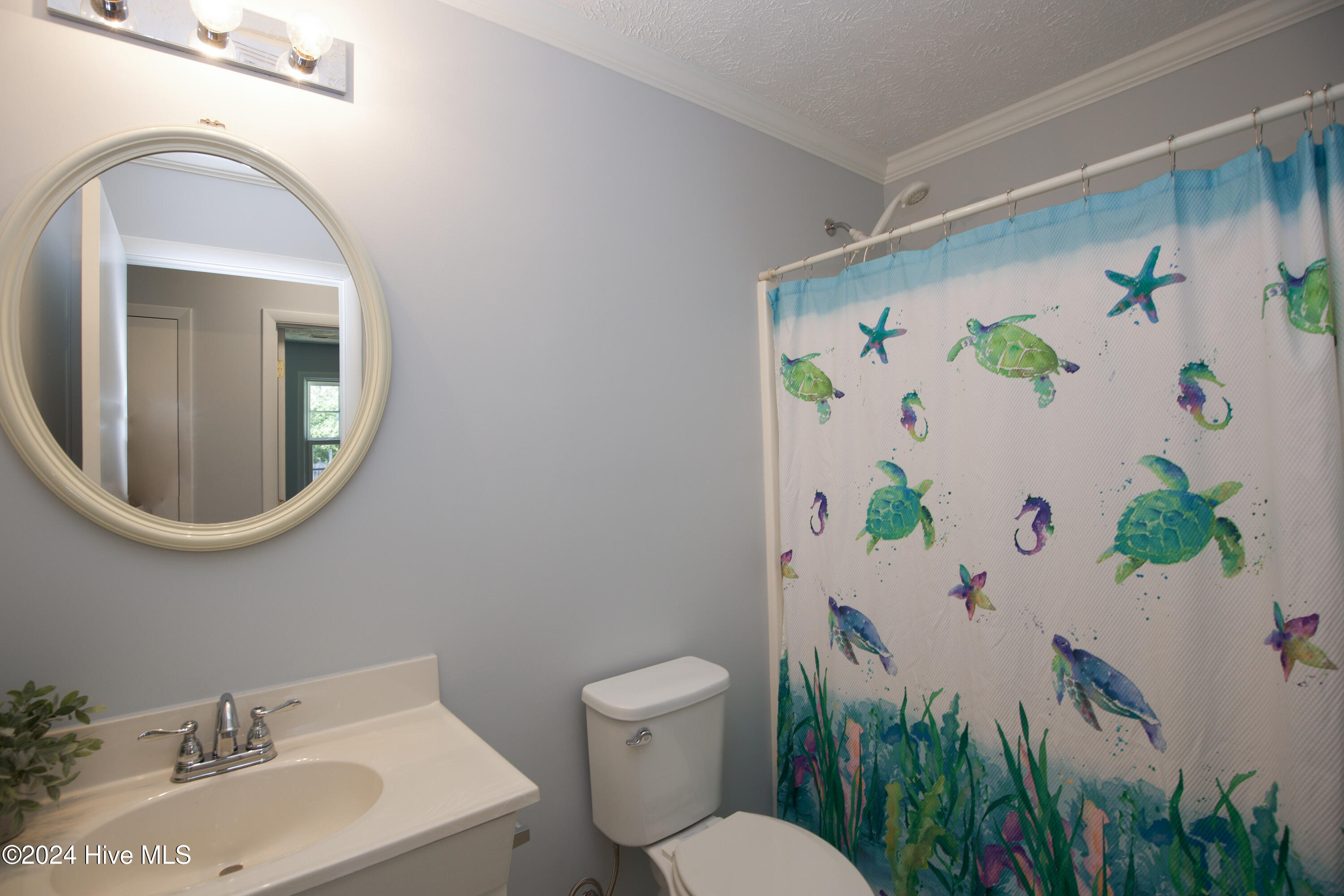 292 Archie Road Property Photo 22