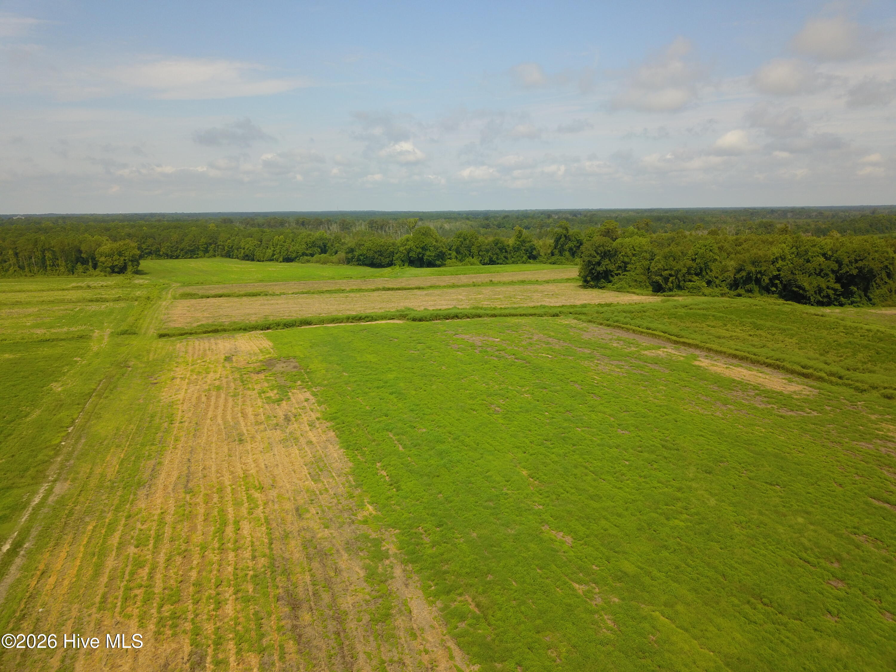 2 S Nc 41 Highway Property Photo 4