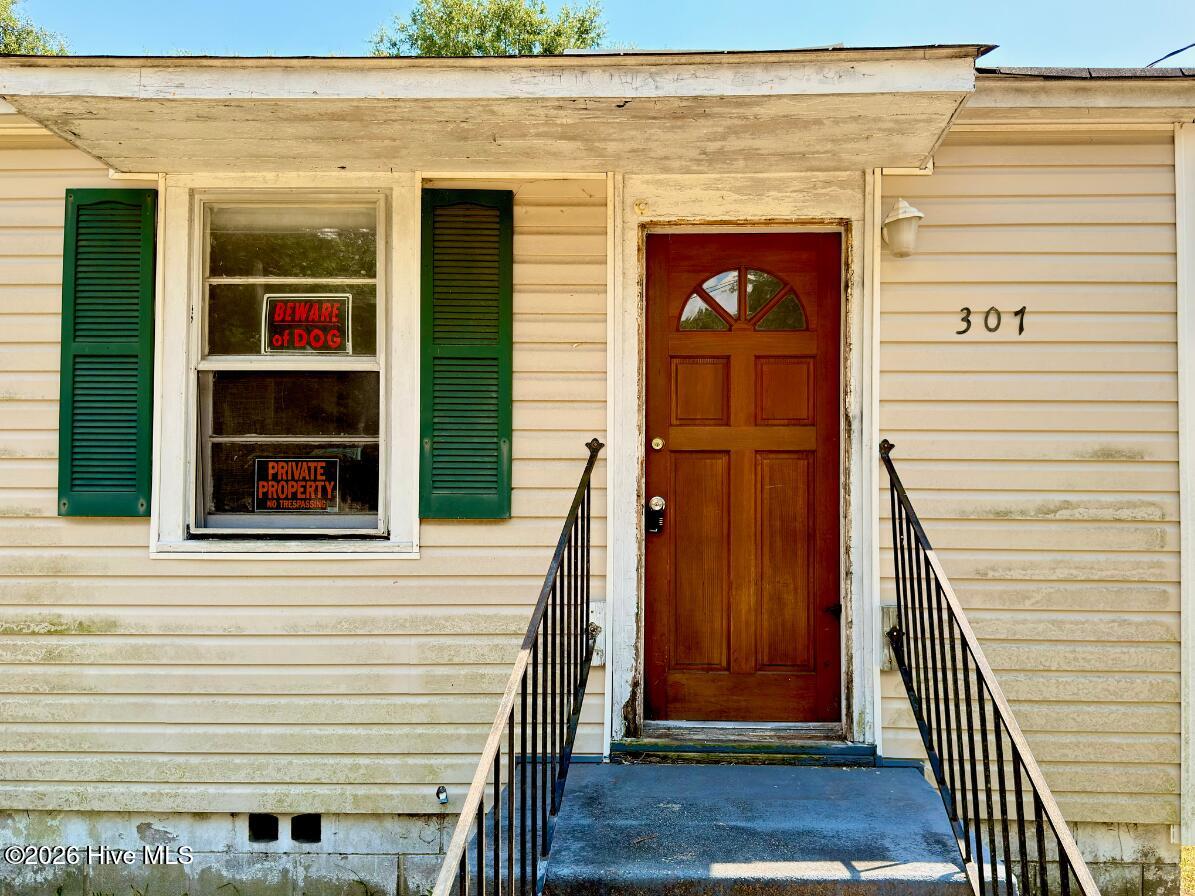 307 Diana Street Property Photo 4