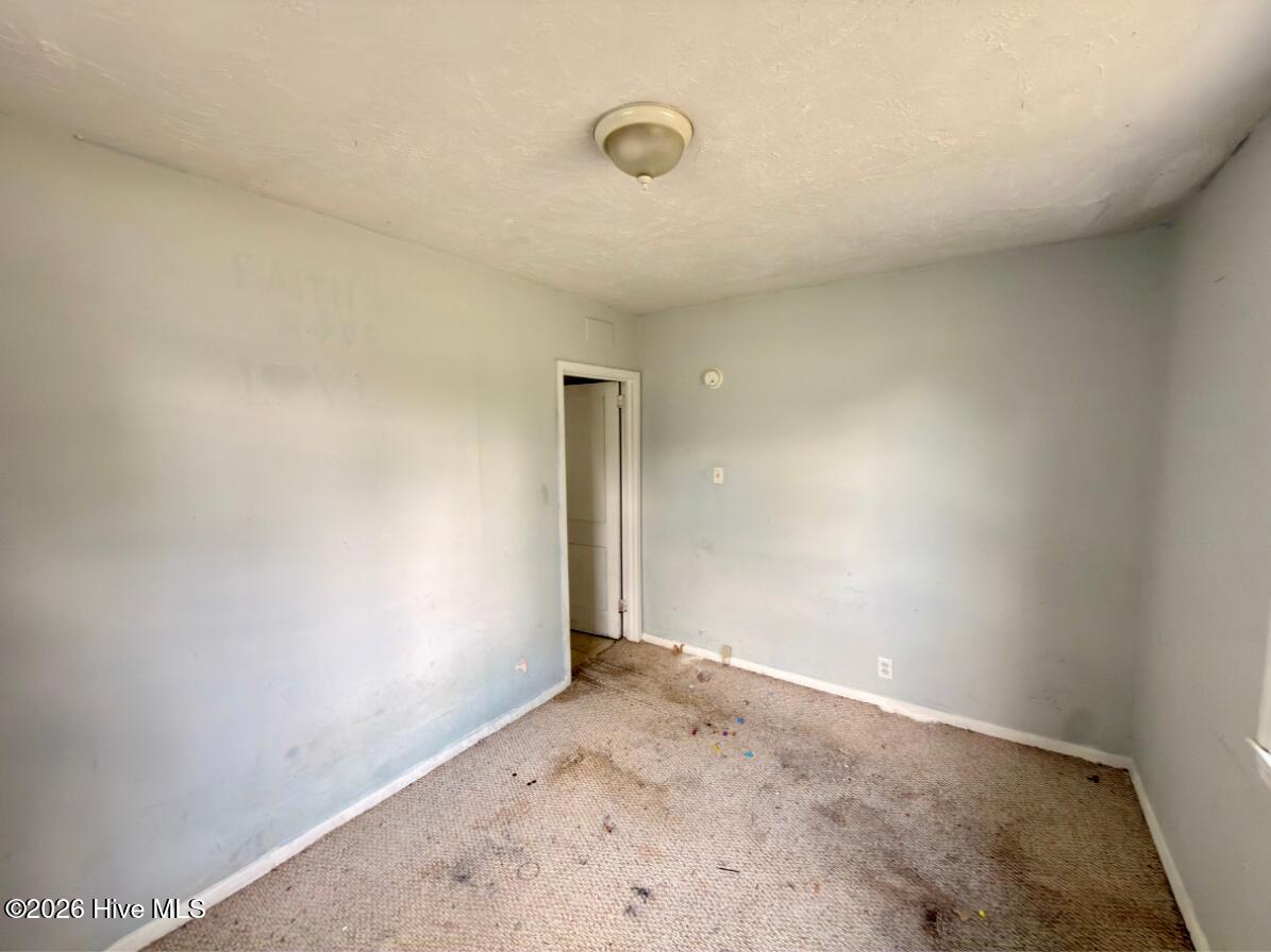 307 Diana Street Property Photo 16