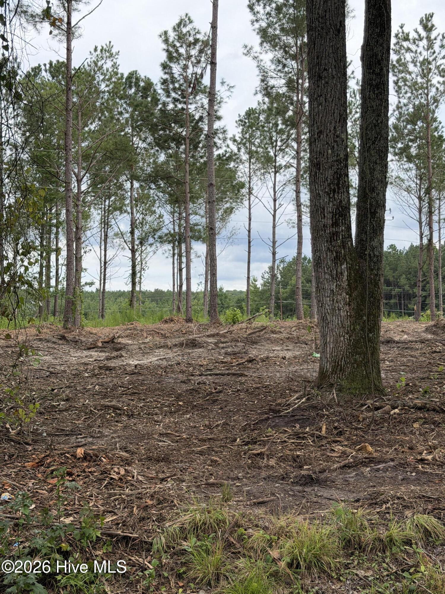 Tbd/lot 1 Elmore Property Photo 3