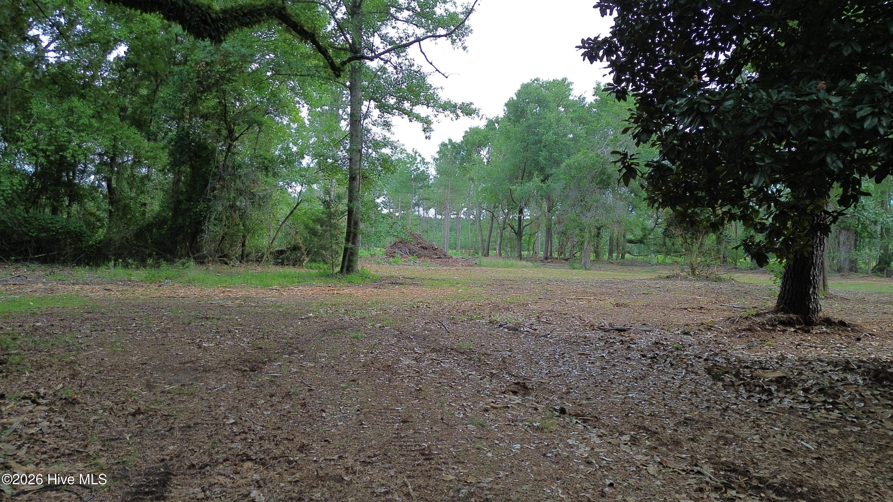 Tbd/lot 1 Elmore Property Photo 4
