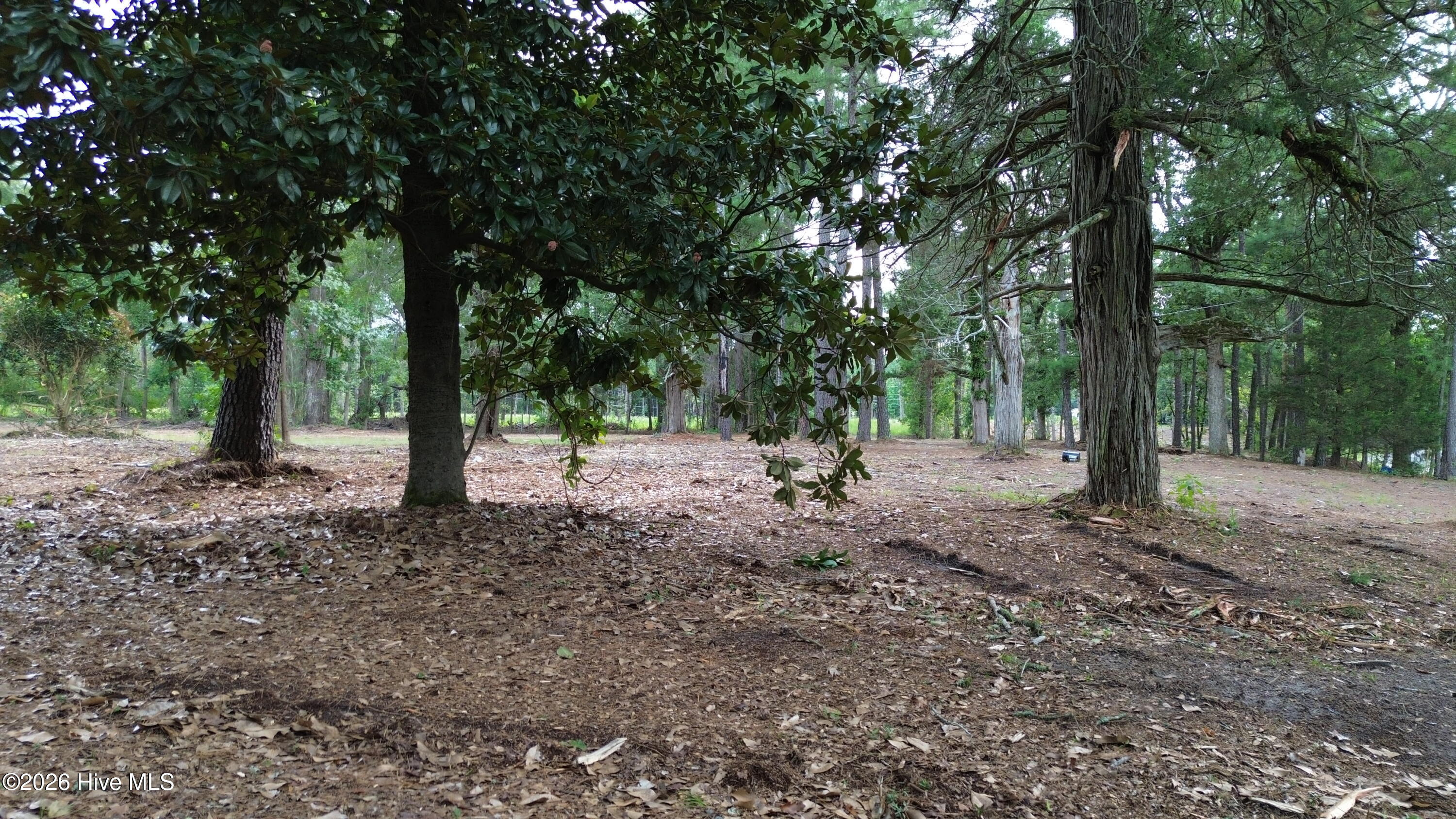 Tbd/lot 1 Elmore Property Photo 5