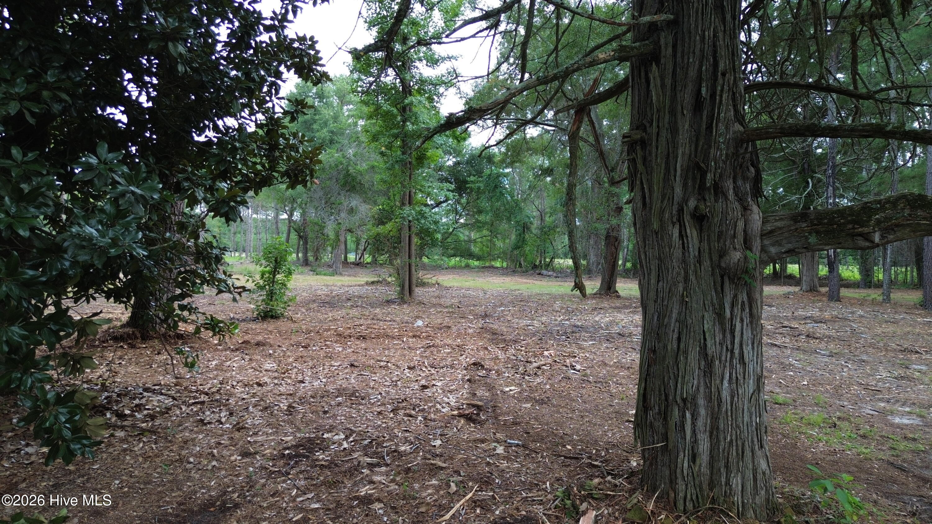 Tbd/lot 2 Elmore Property Photo 3
