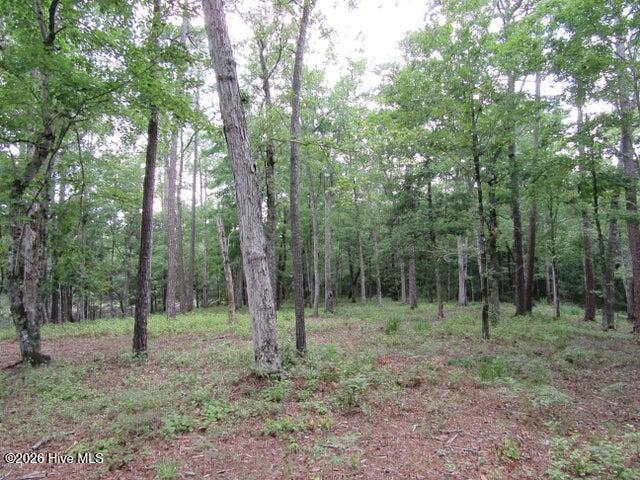 671 44 Plantation Parkway Property Photo 3