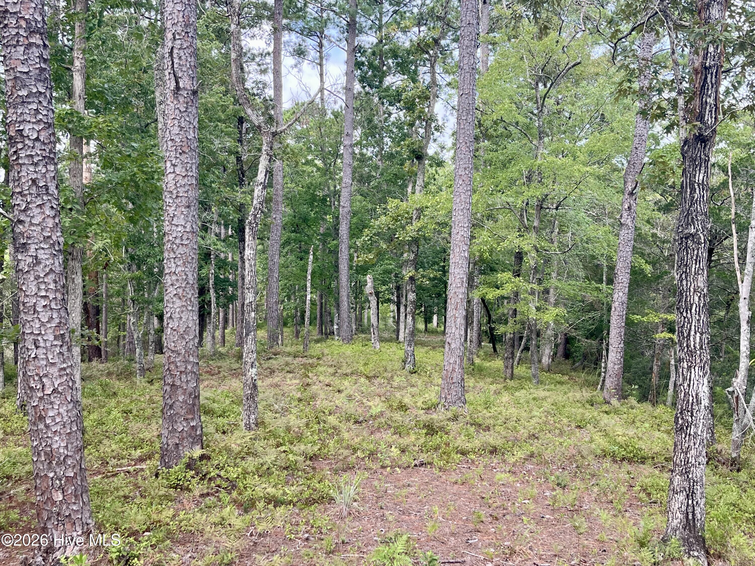 671 44 Plantation Parkway Property Photo 4