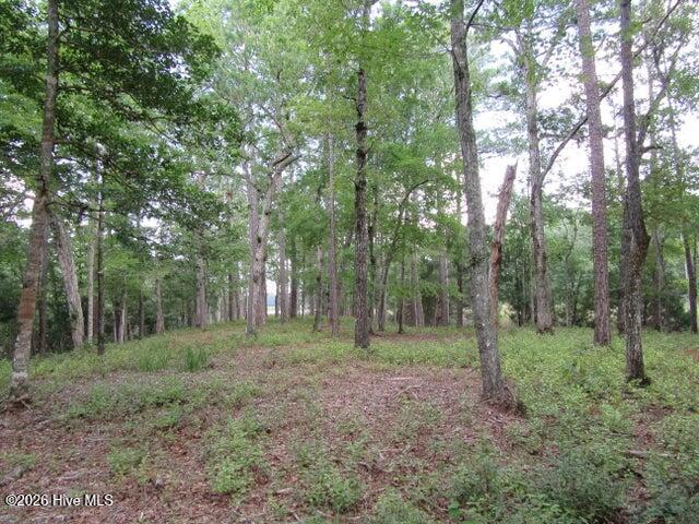 671 44 Plantation Parkway Property Photo 5