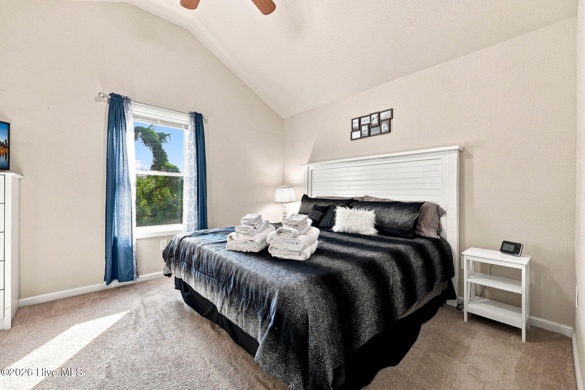 205 Lancer Court Property Photo 19