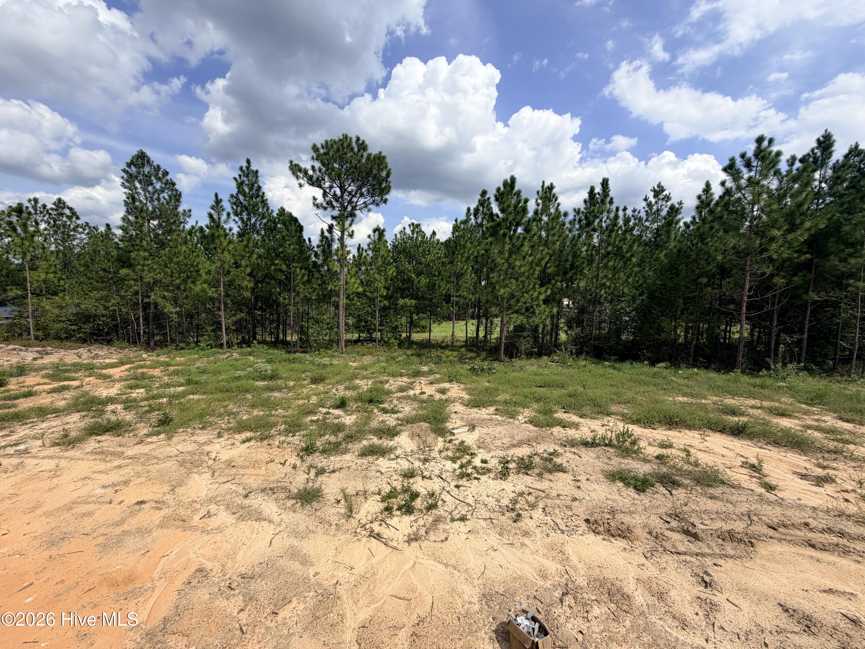 609 Property Photo 60