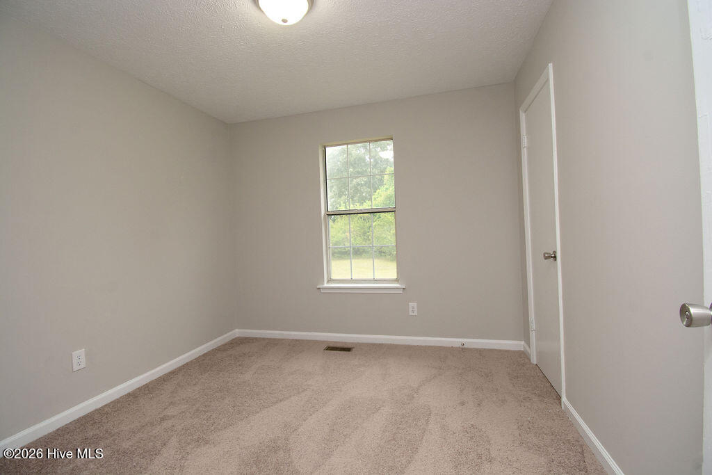 211 Runs Creek Drive Property Photo 22