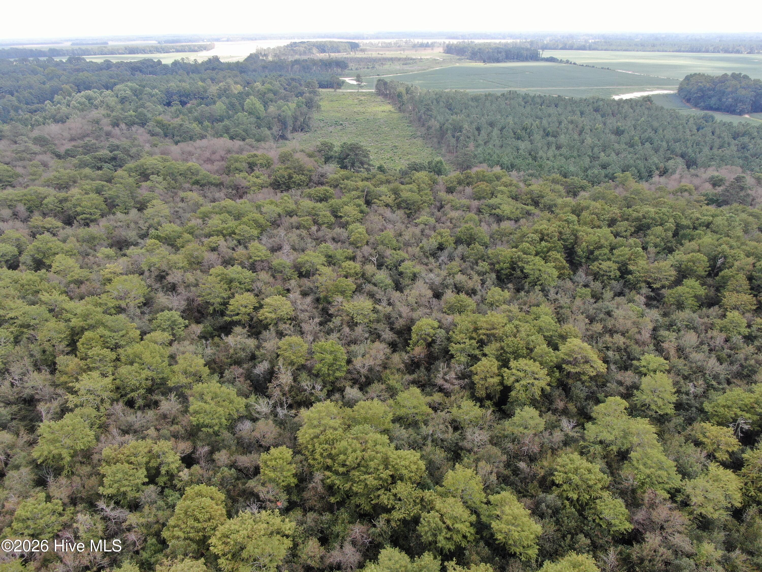 Tbd Johns Mill Road Property Photo 13