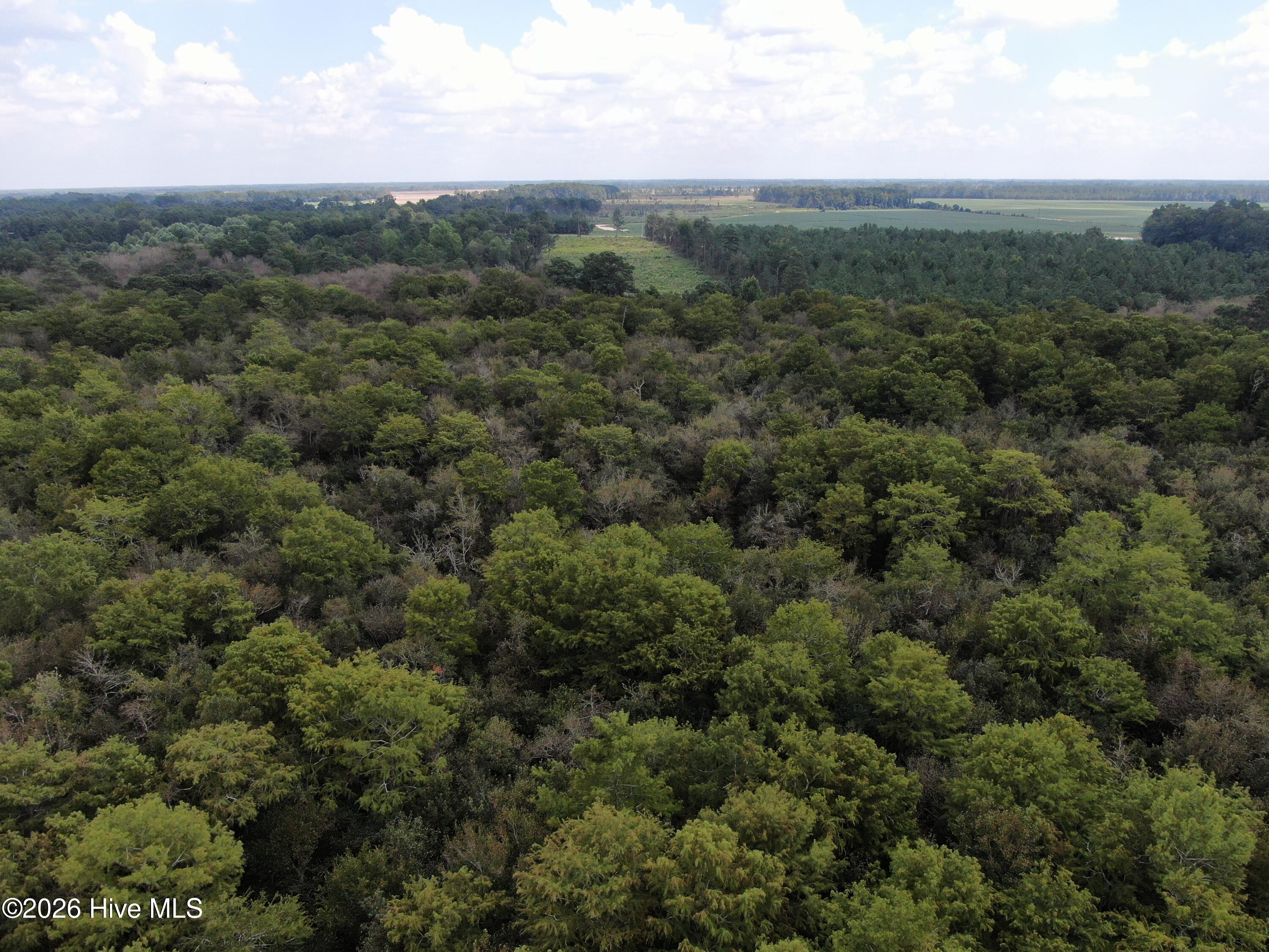 Tbd Johns Mill Road Property Photo 14