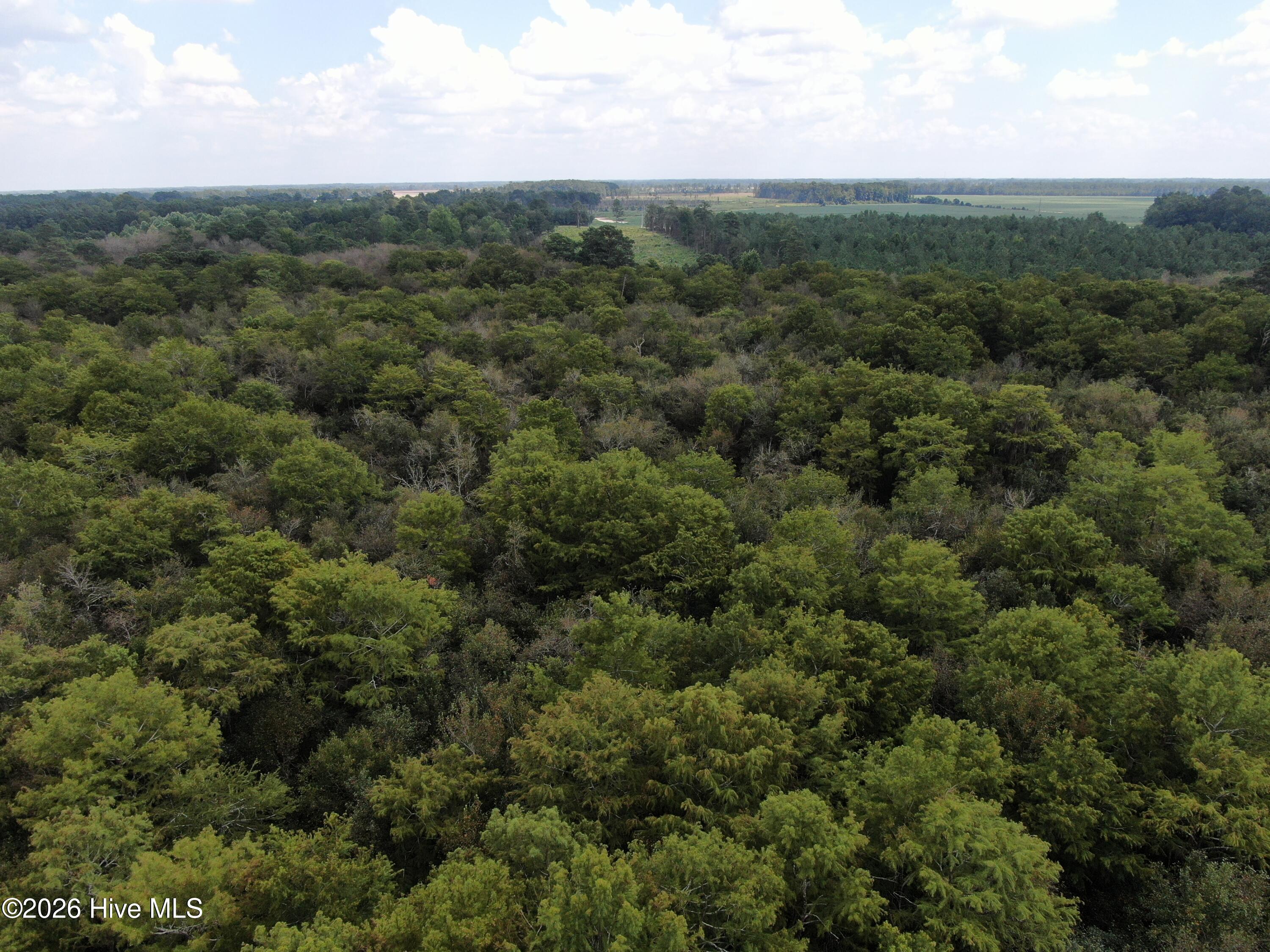 Tbd Johns Mill Road Property Photo 15