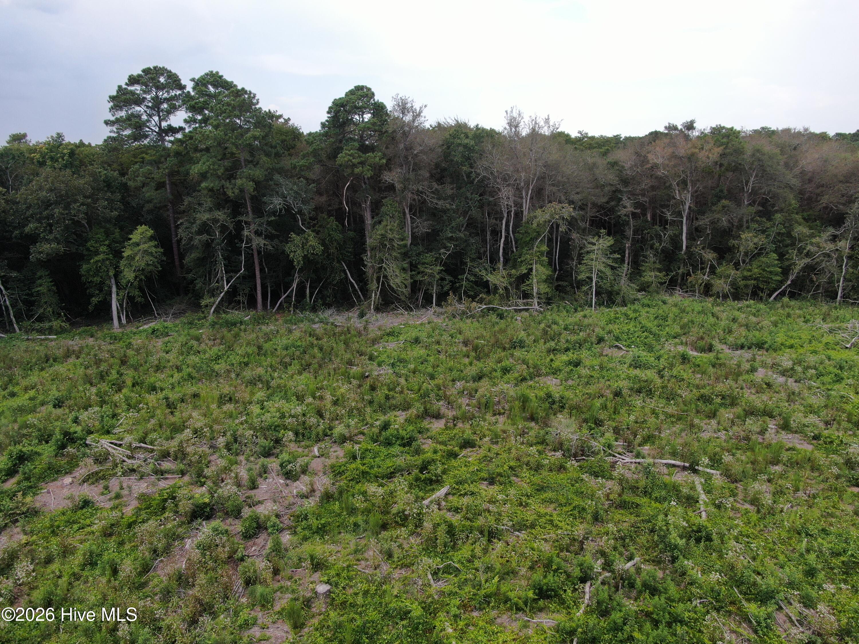 Tbd Johns Mill Road Property Photo 16