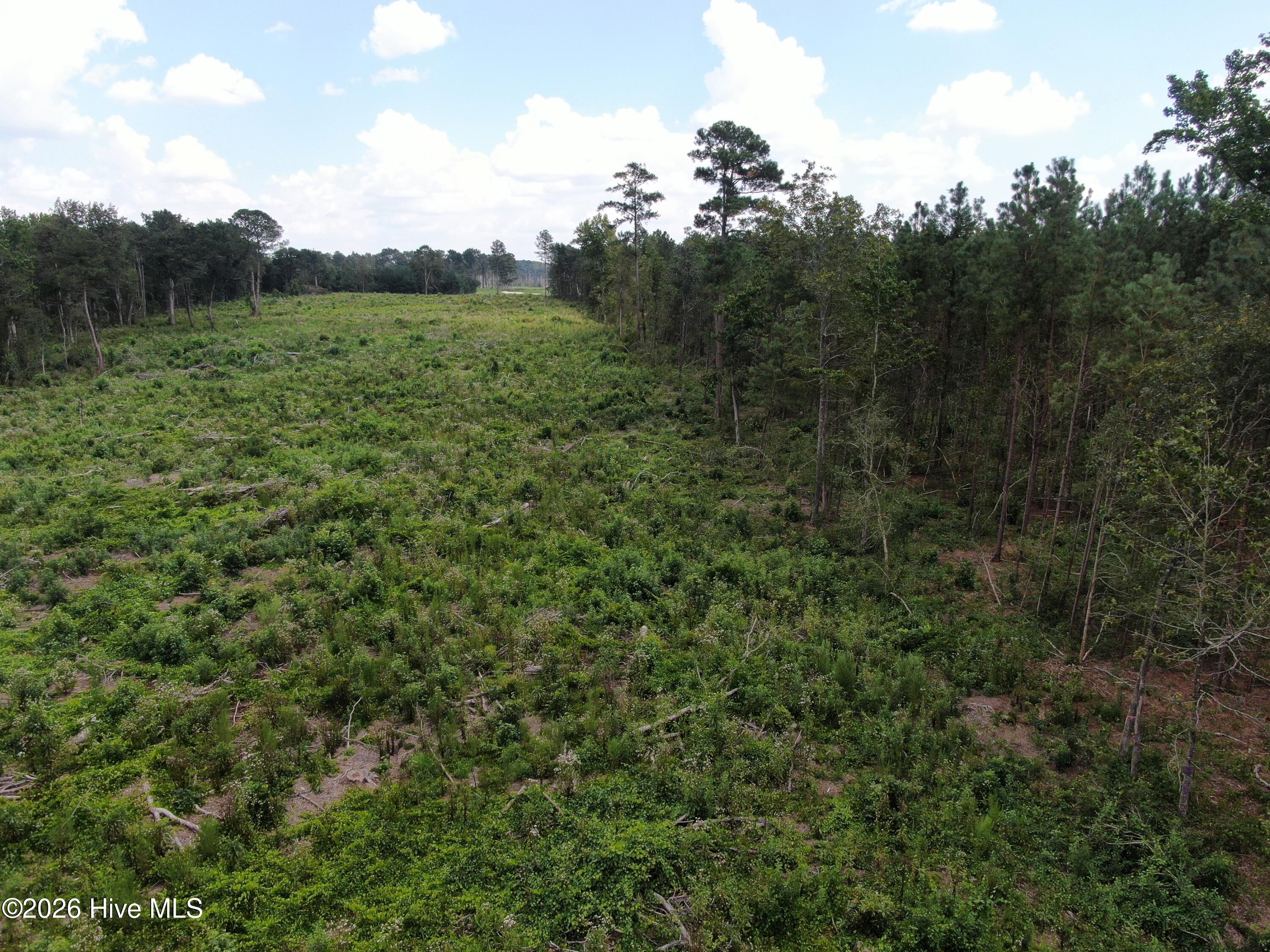 Tbd Johns Mill Road Property Photo 18