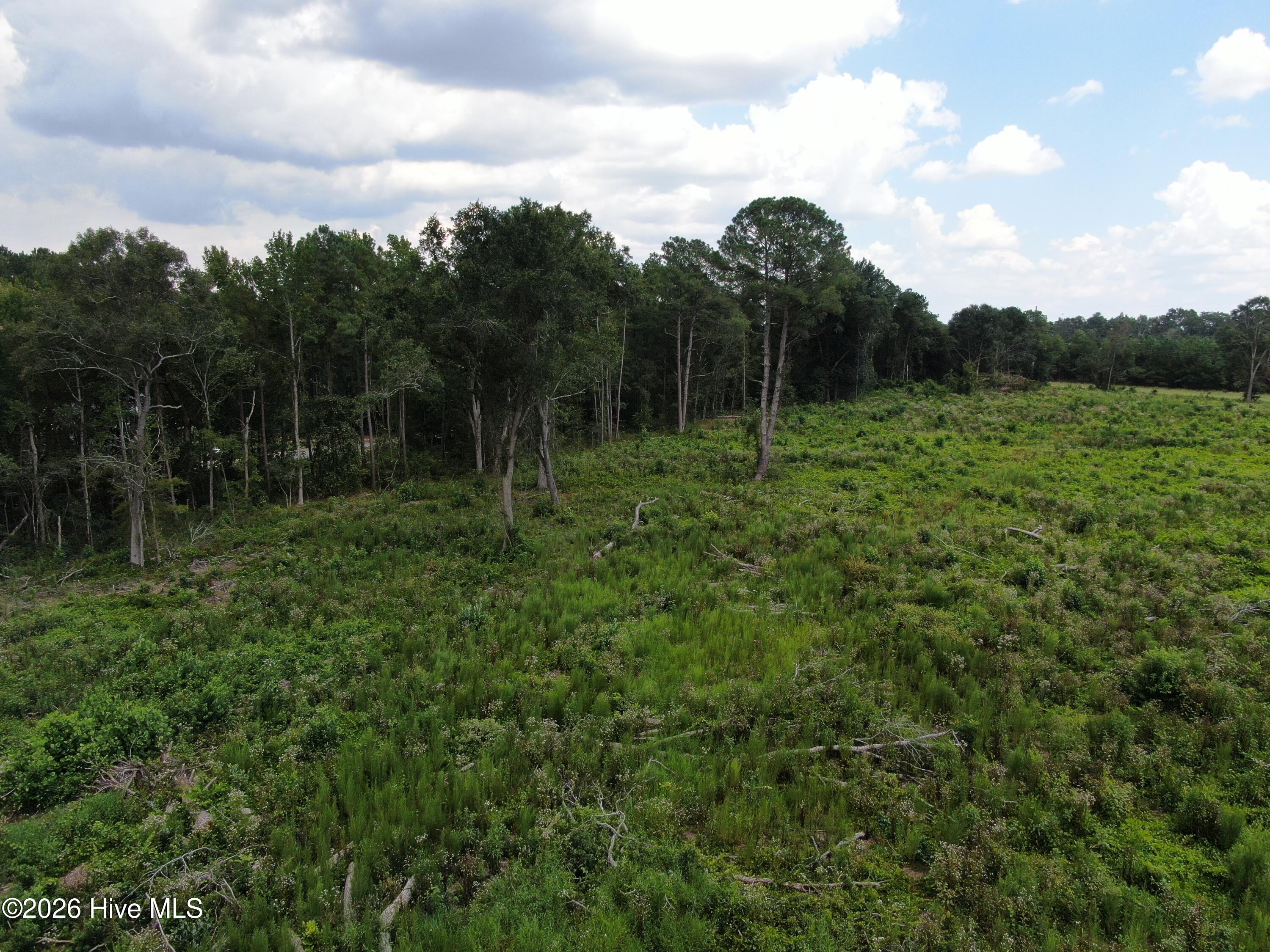 Tbd Johns Mill Road Property Photo 19
