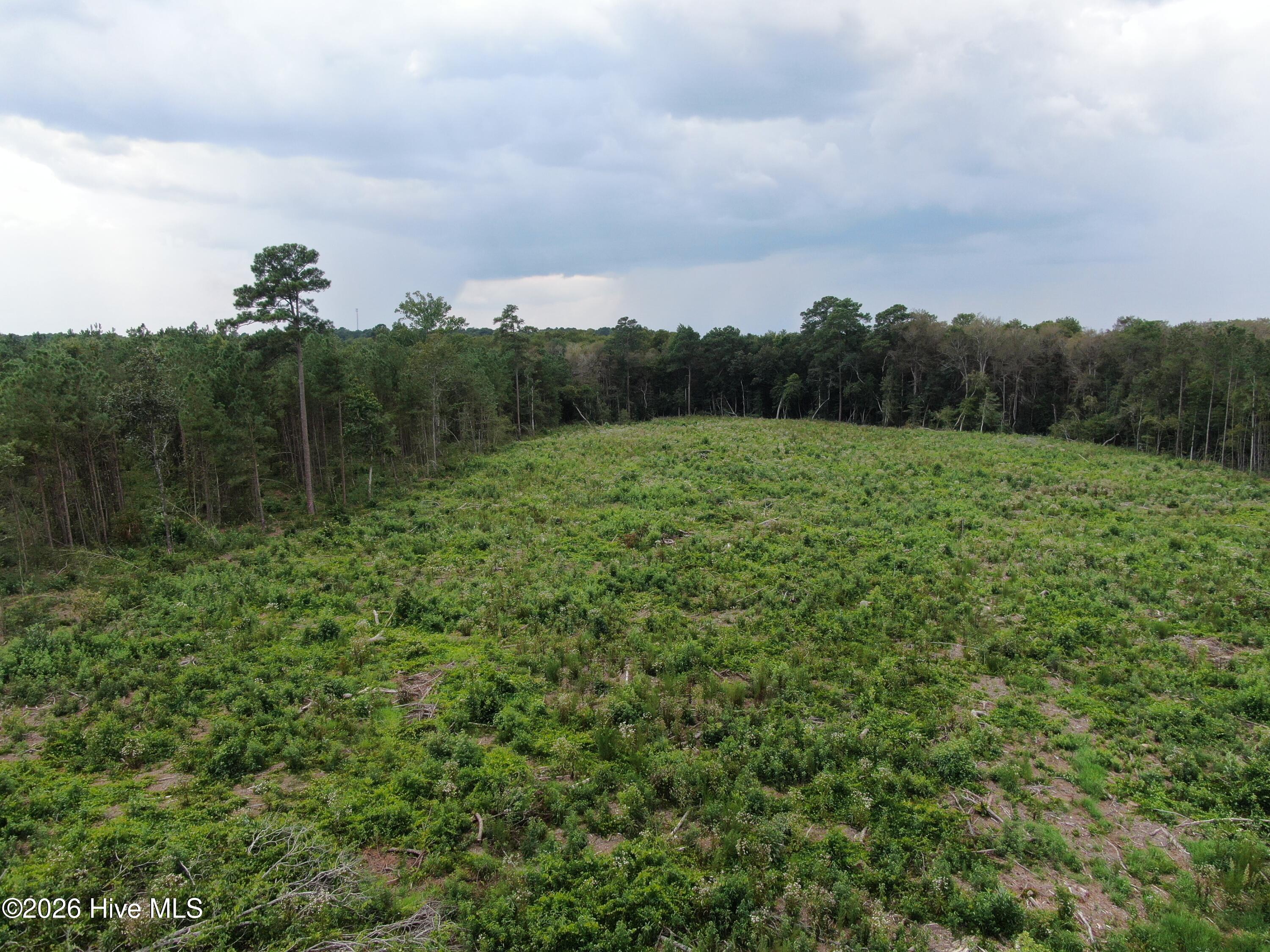 Tbd Johns Mill Road Property Photo 21