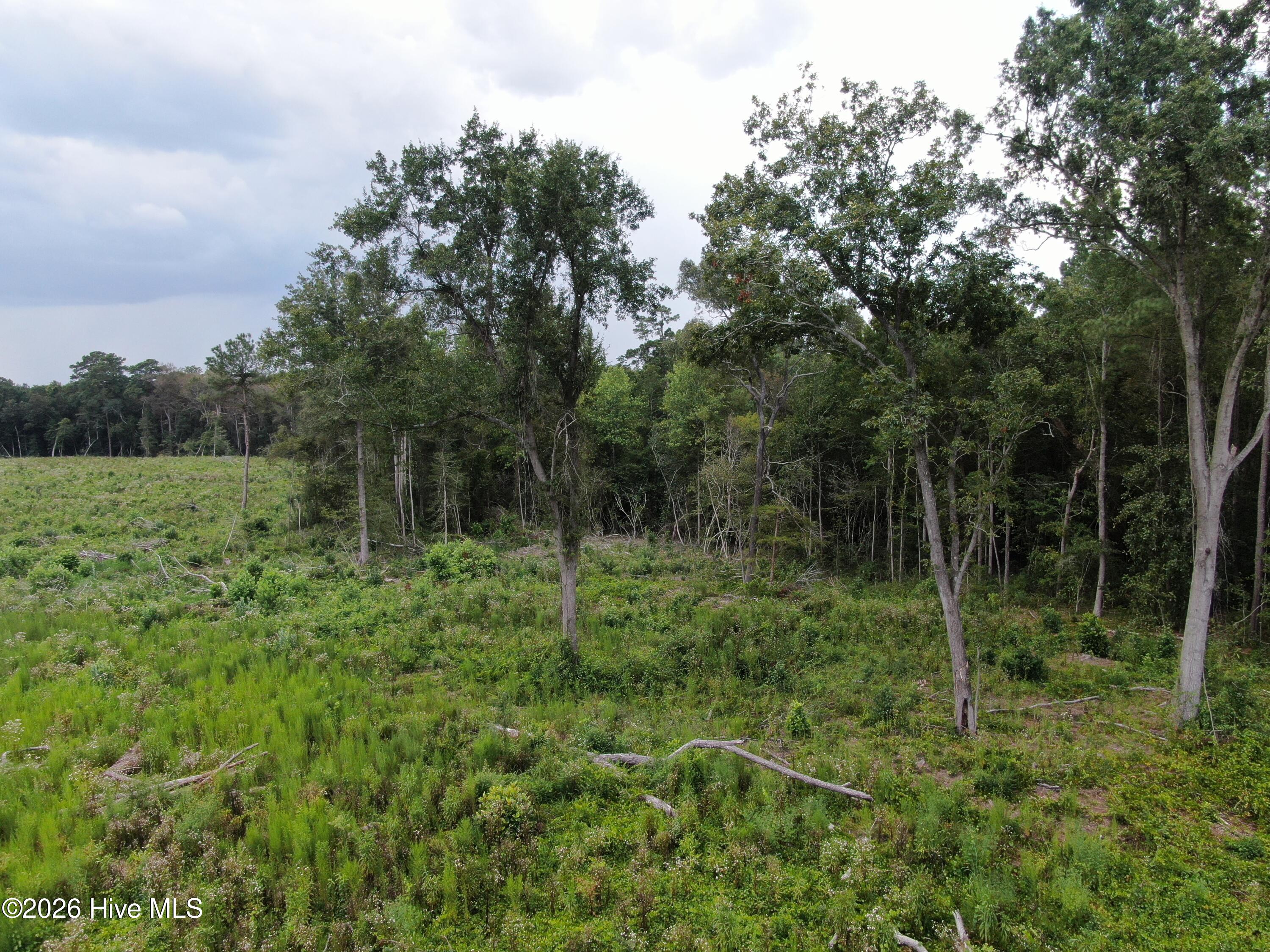 Tbd Johns Mill Road Property Photo 23