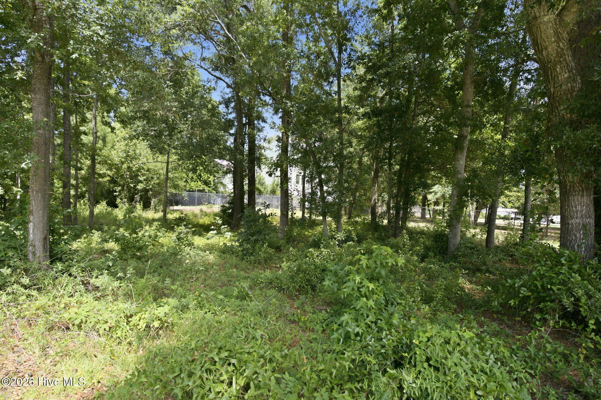 1021 Saltspray Lane Property Photo 10