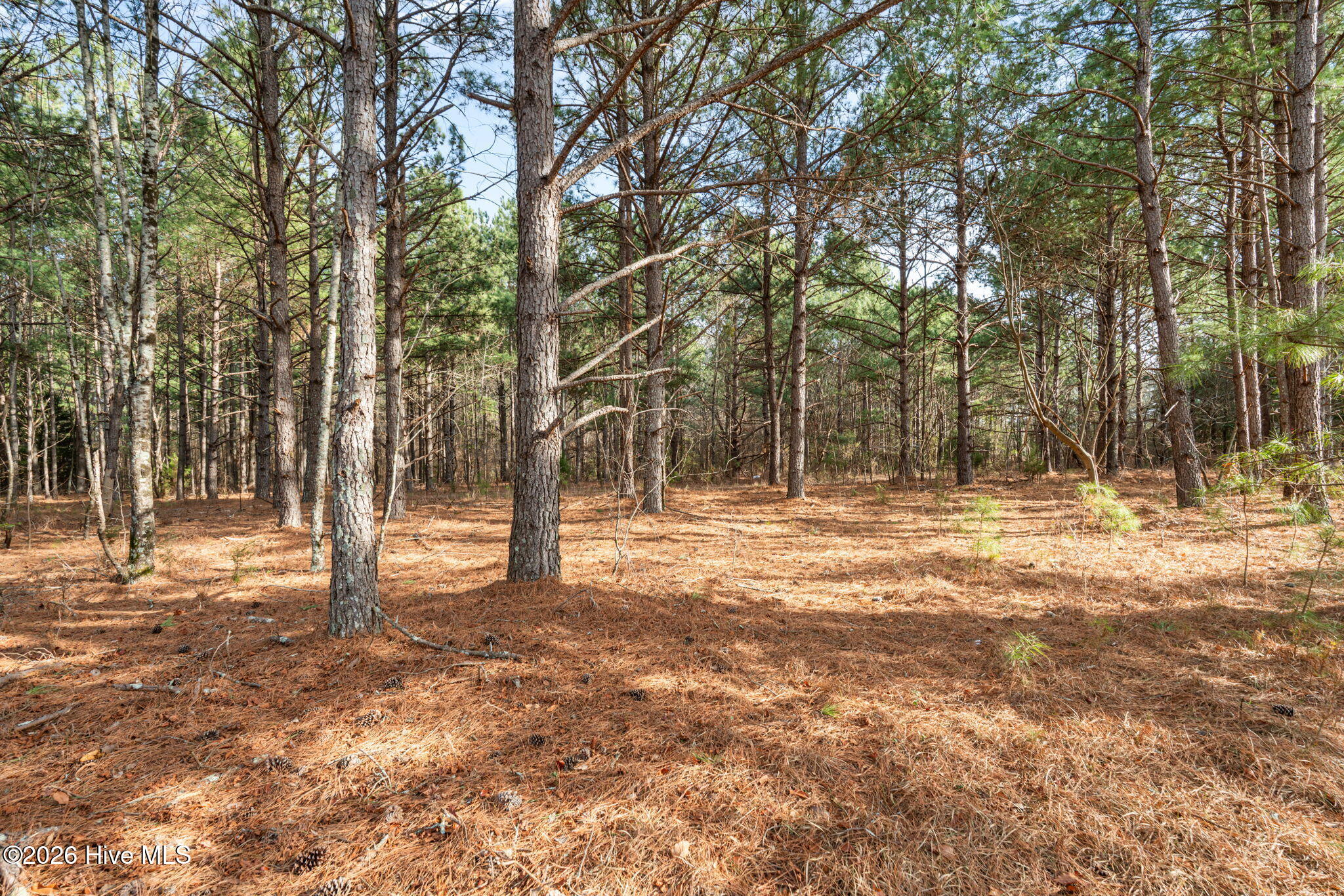 2655 Us 1 Highway Property Photo 2