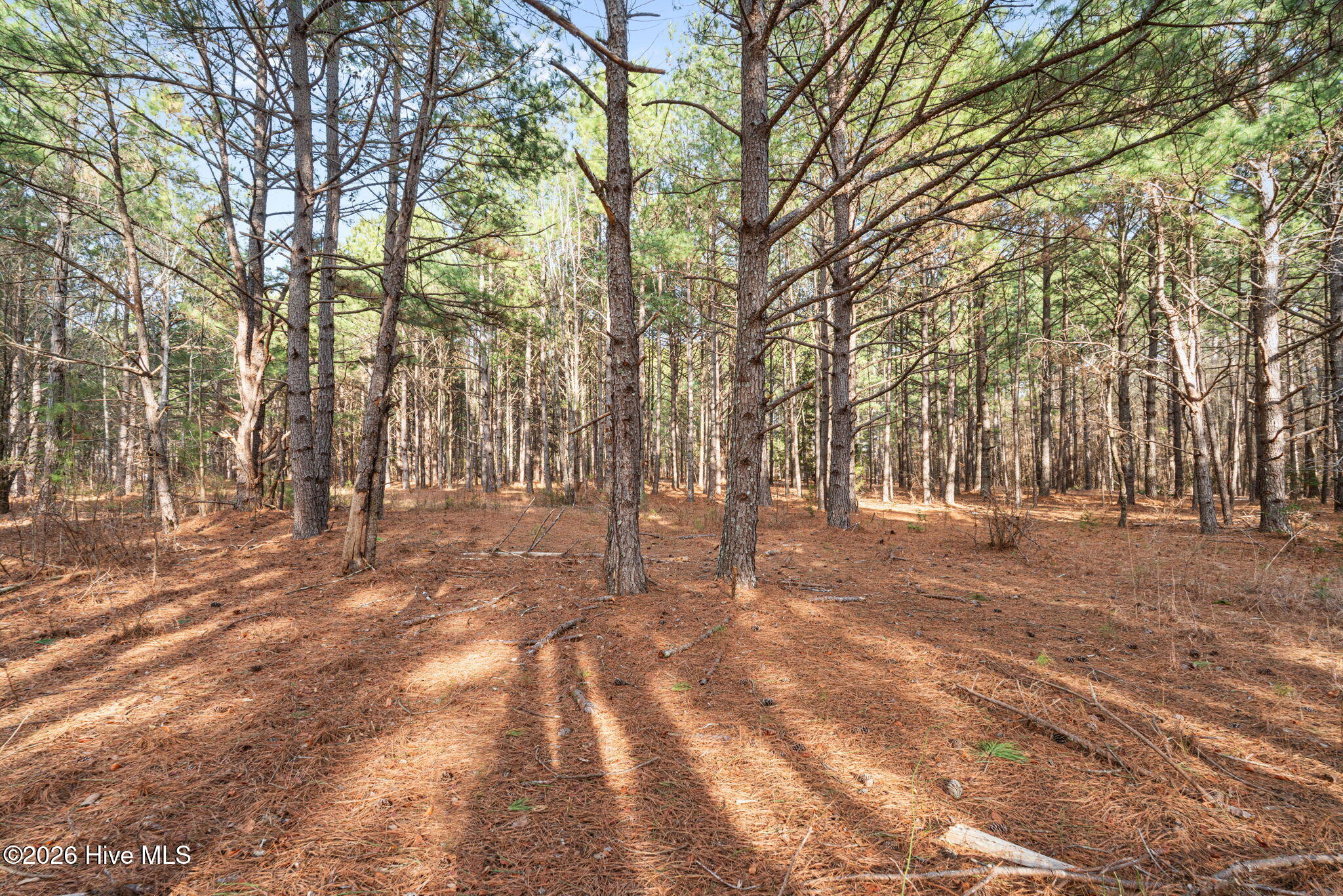 2655 Us 1 Highway Property Photo 3