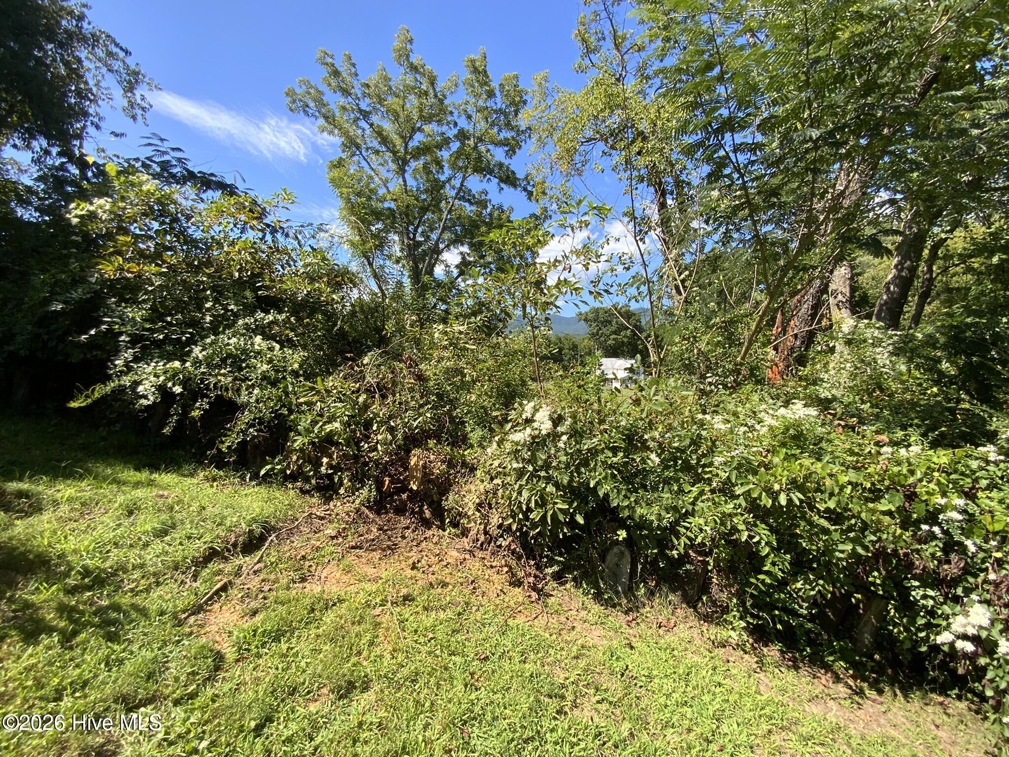 183 Colvard Avenue Property Photo 29