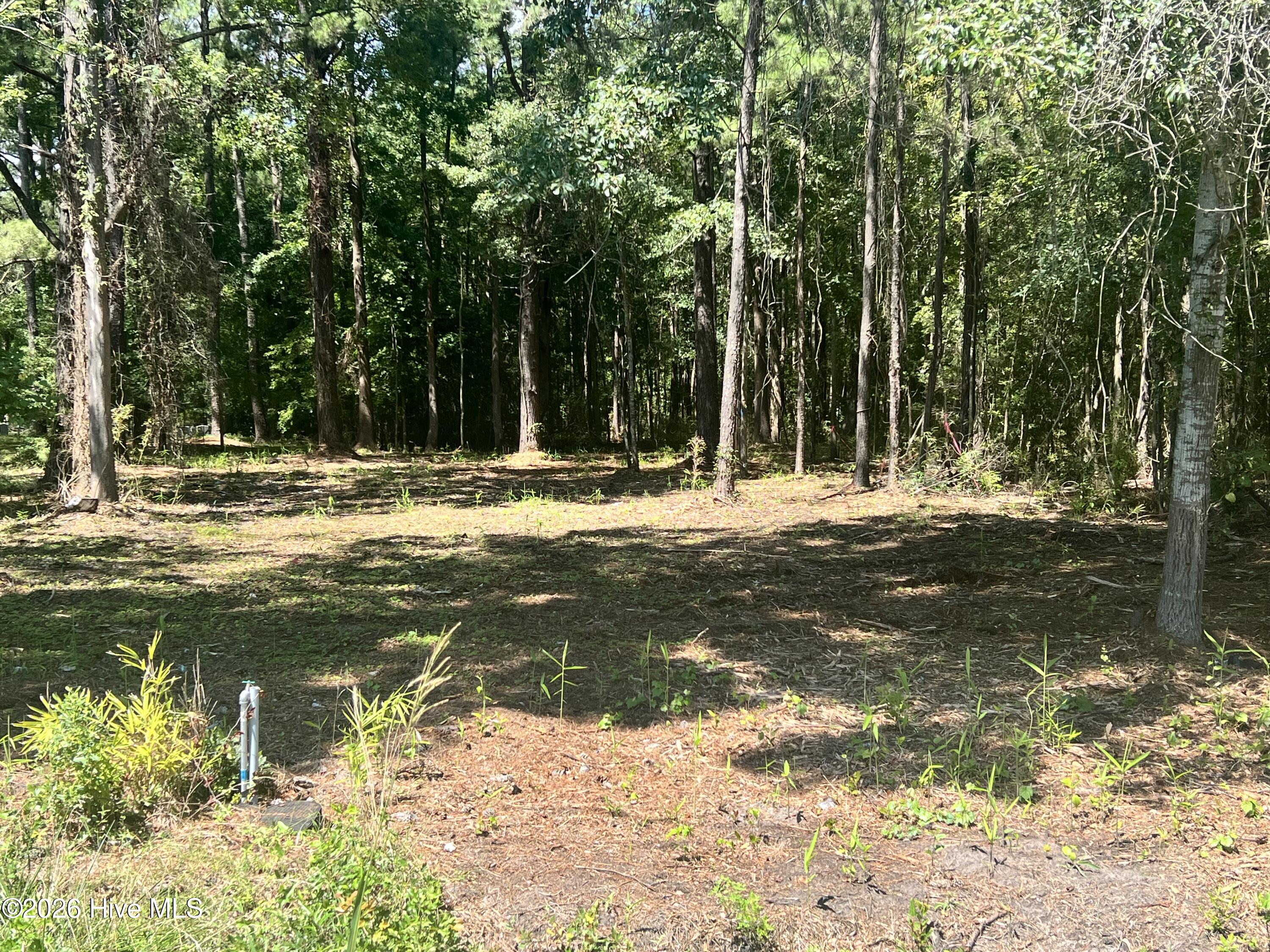 Lot 4 Elm Street Property Photo 2