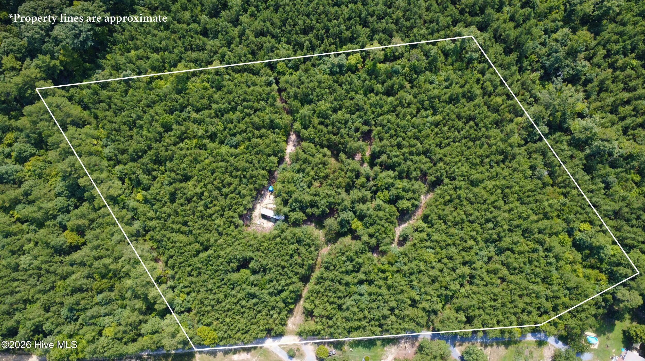 239 16 Lick Creek Road Property Photo 3