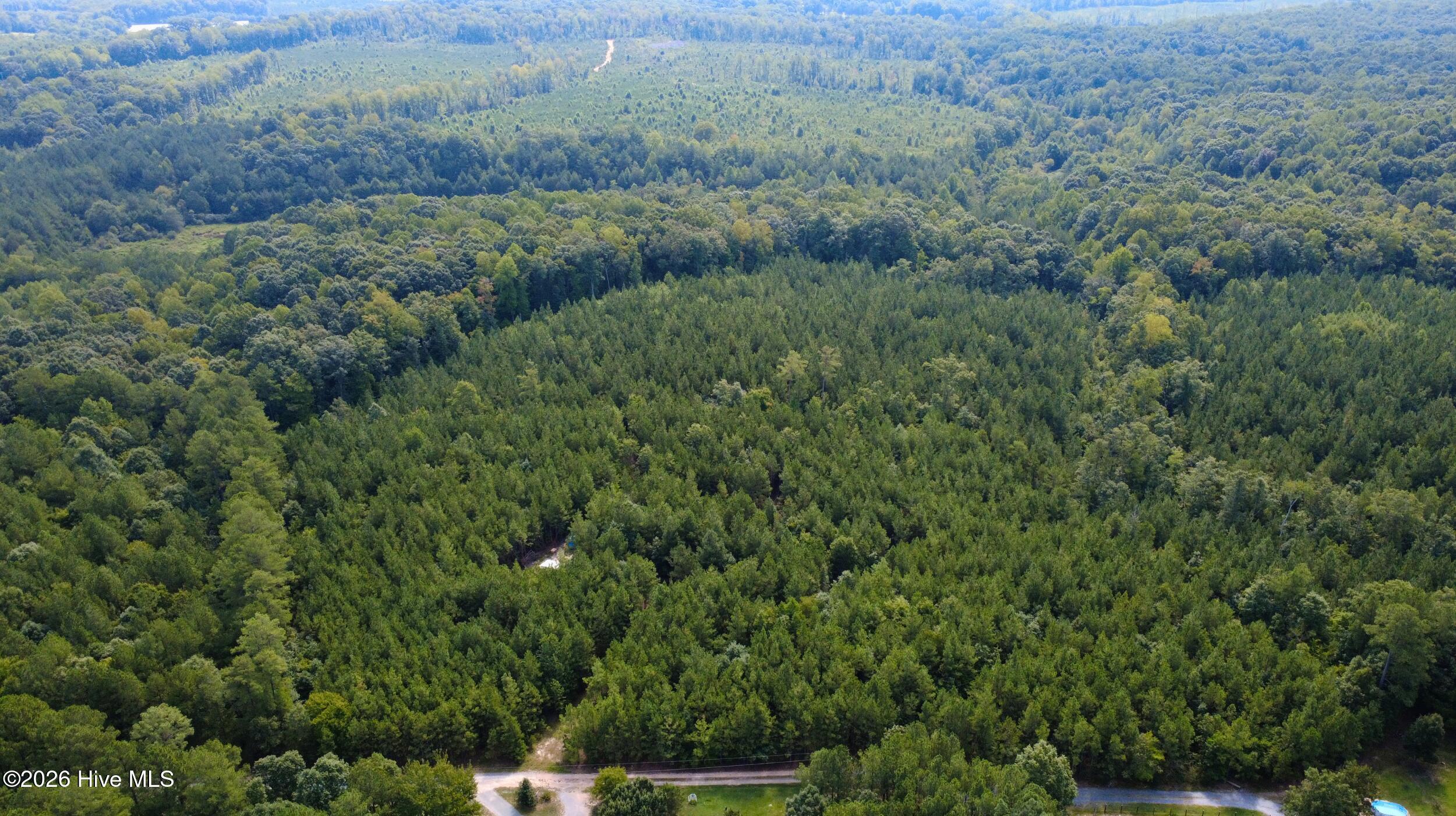 239 16 Lick Creek Road Property Photo 5