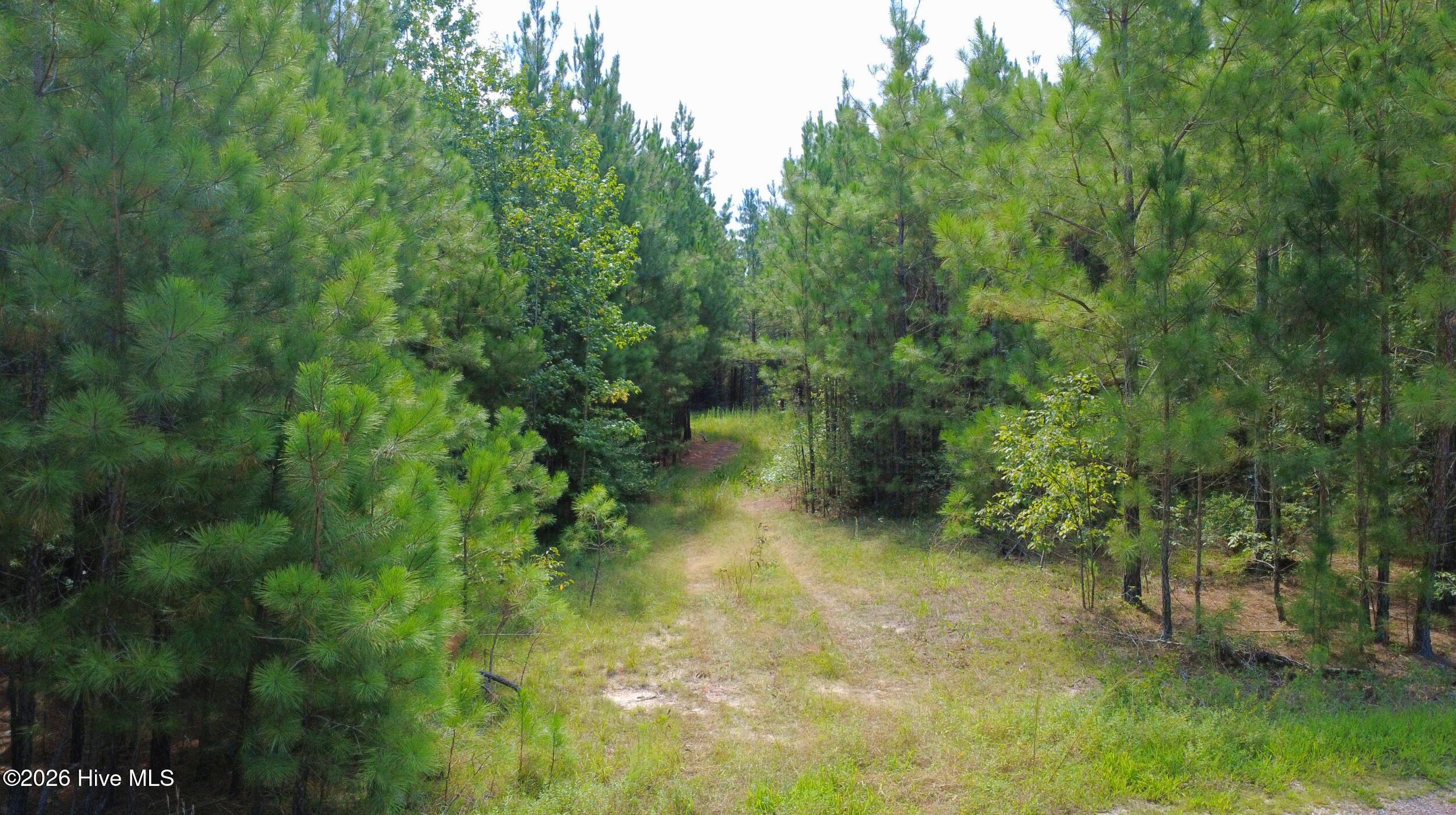 239 16 Lick Creek Road Property Photo 7