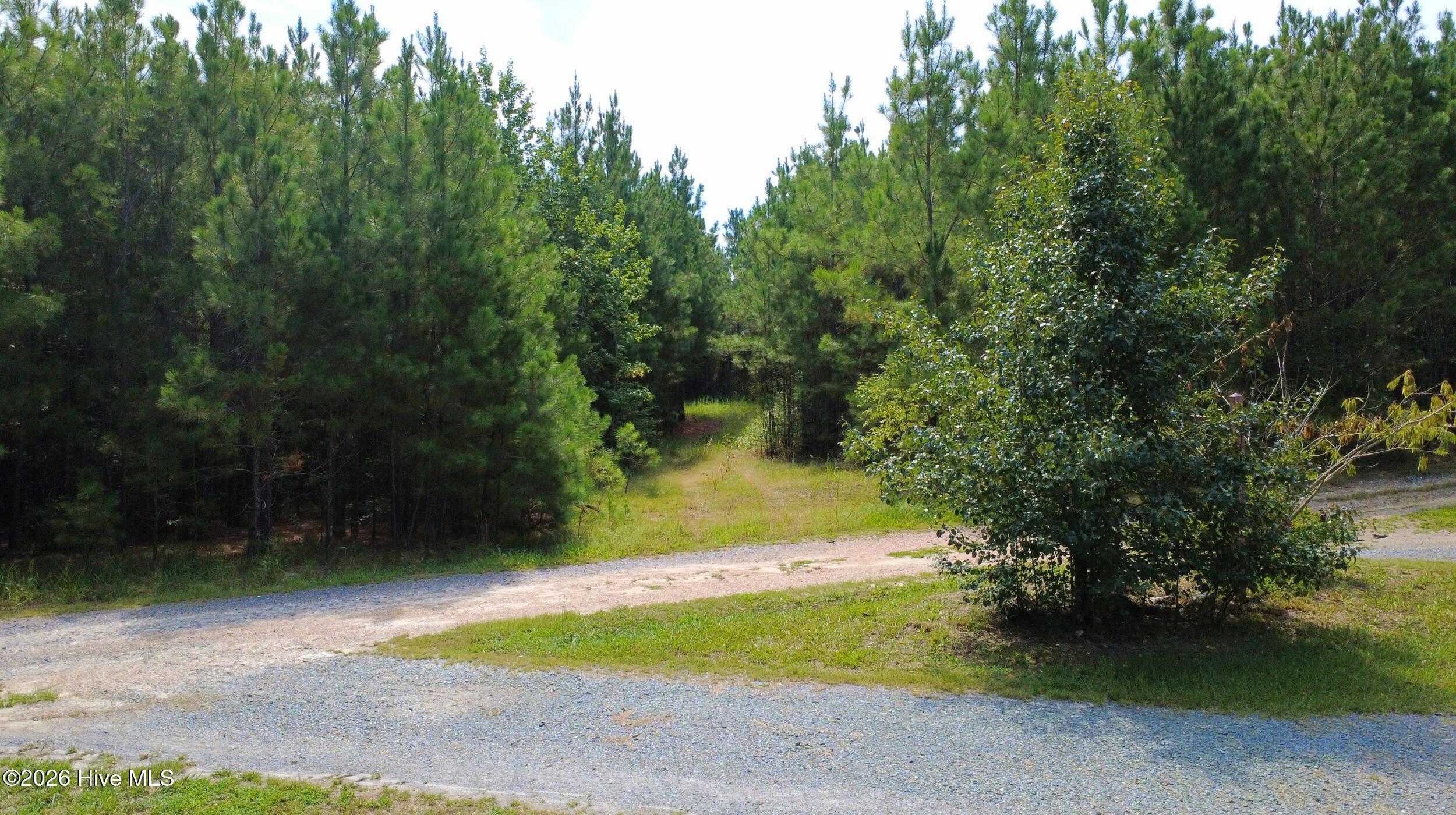 239 16 Lick Creek Road Property Photo 9