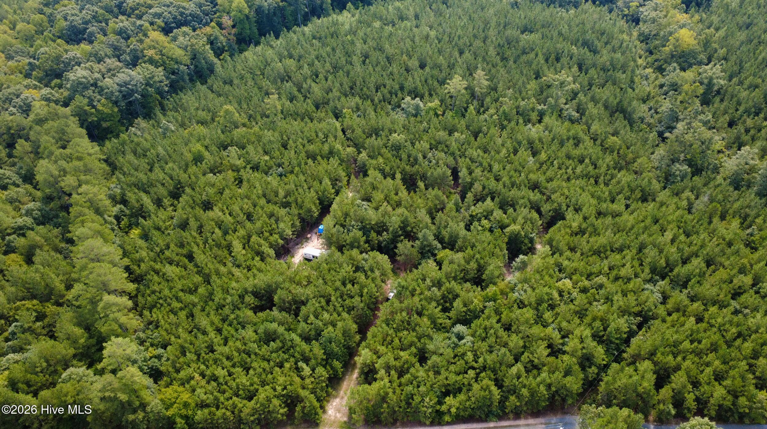 239 16 Lick Creek Road Property Photo 10