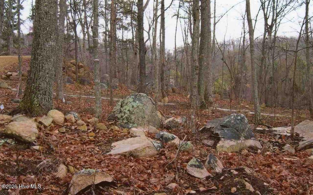 75002 Miller Property Photo 3