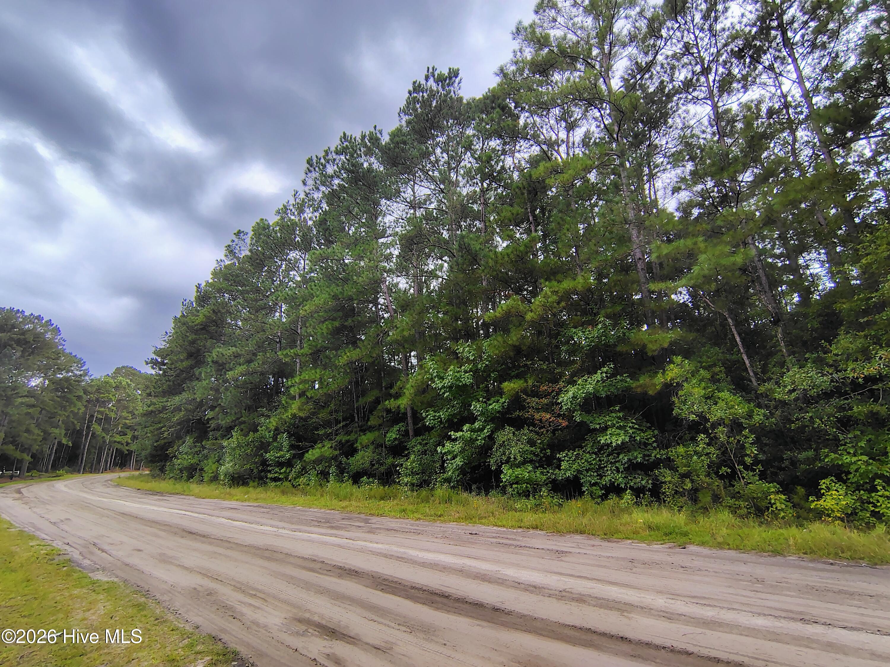 Lot 45 45 Near 519 Deer Lane Property Photo 3