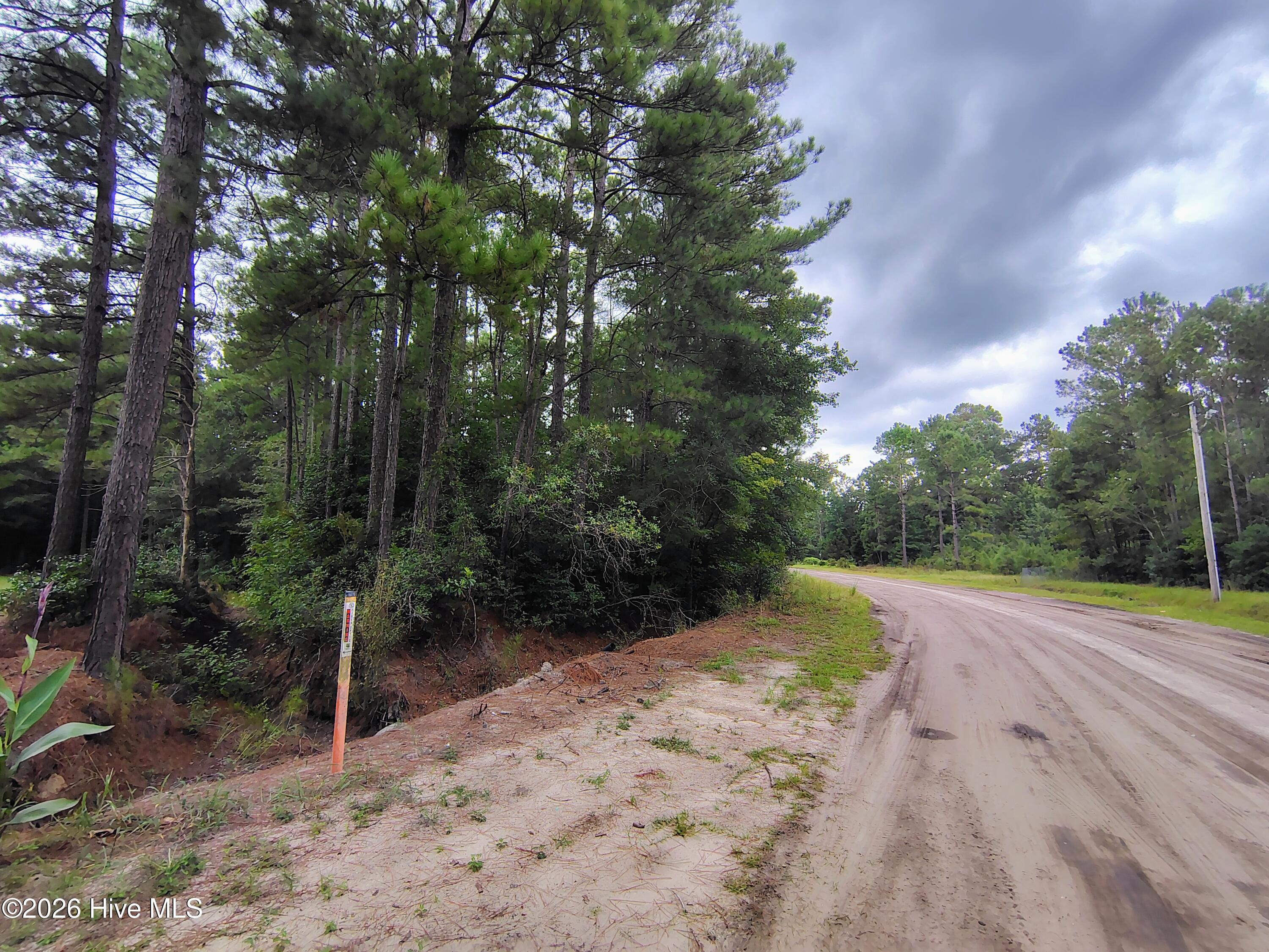 Lot 45 45 Near 519 Deer Lane Property Photo 4