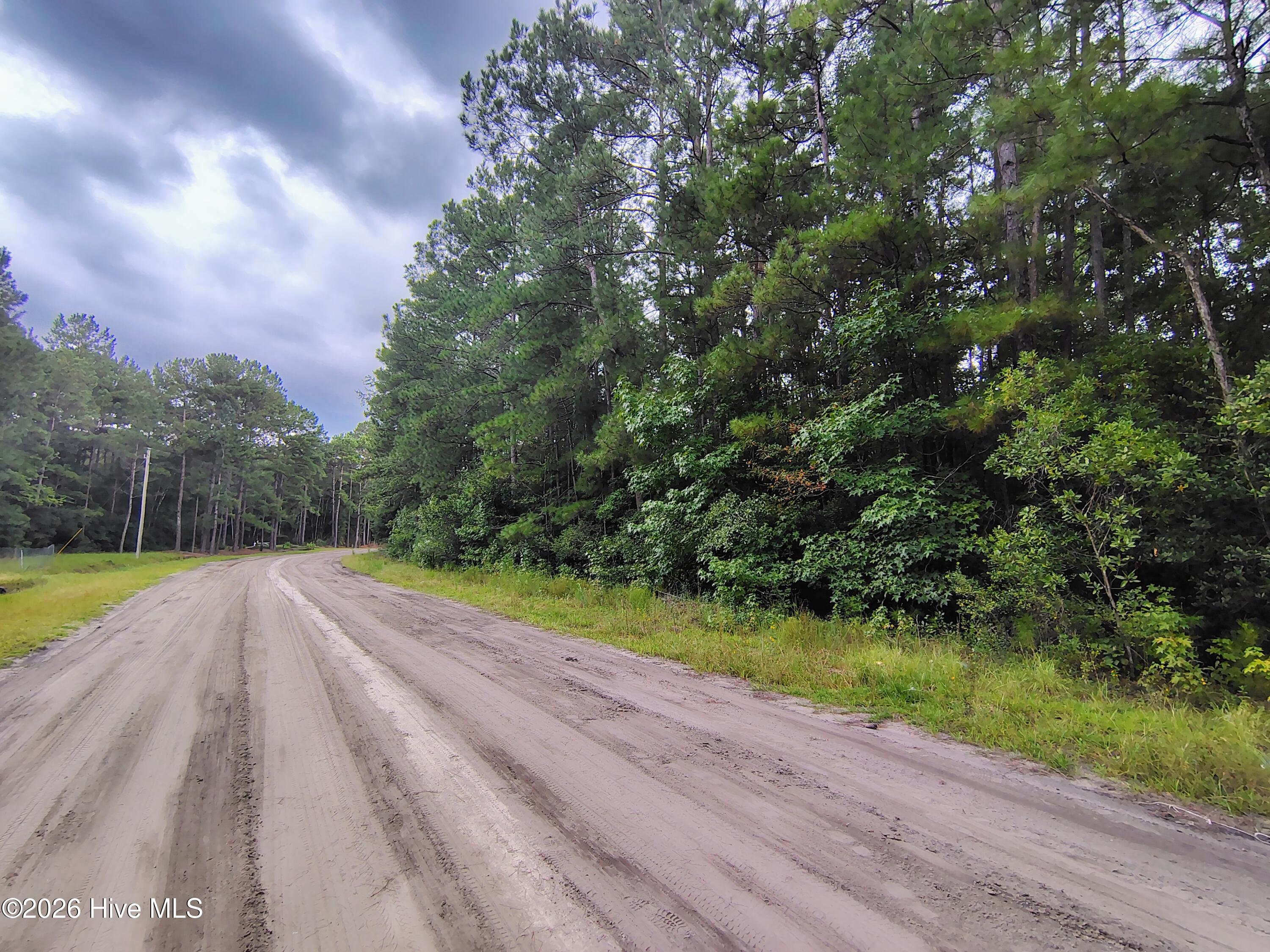 Lot 45 45 Near 519 Deer Lane Property Photo 6
