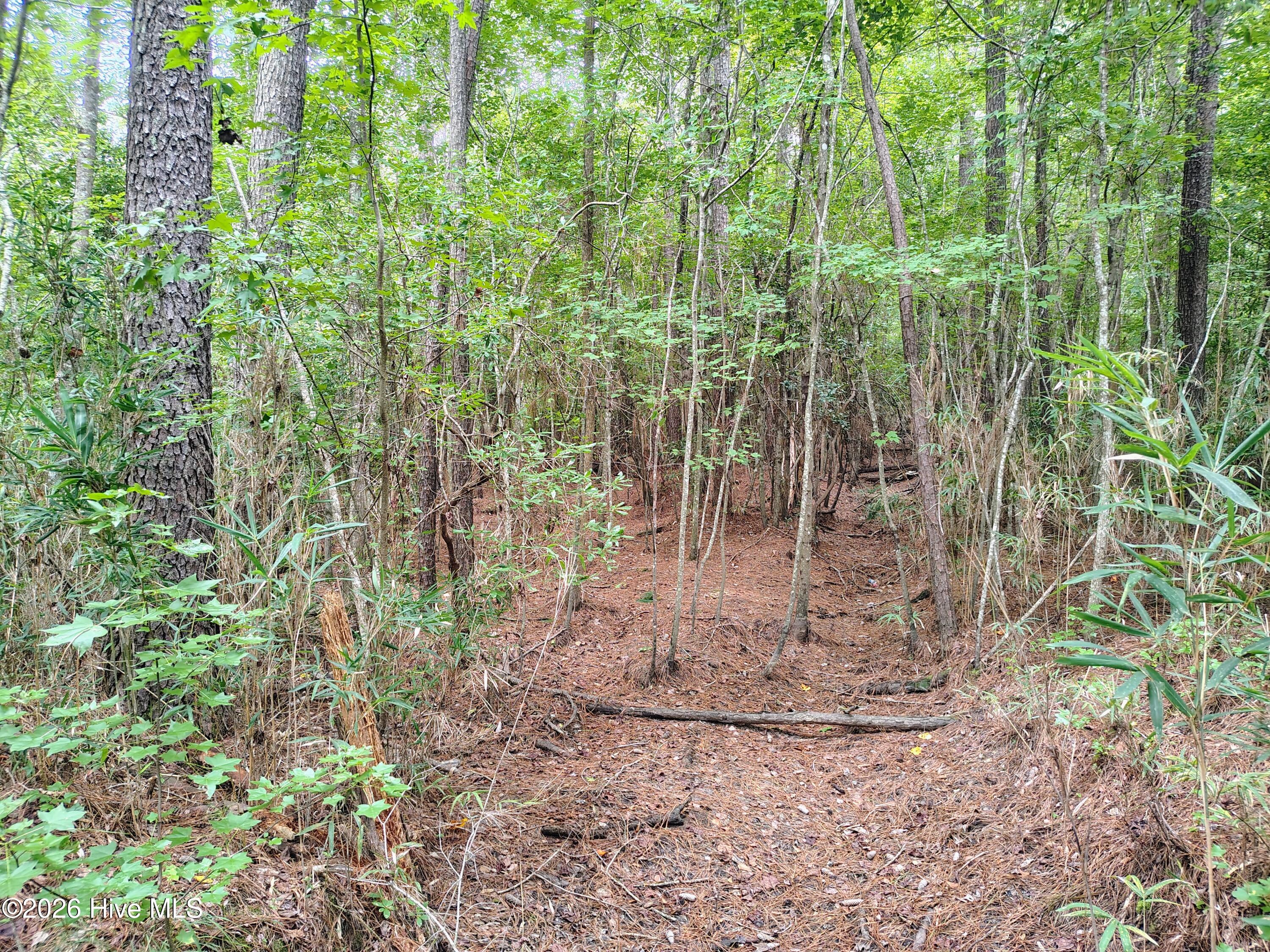 Lot 45 45 Near 519 Deer Lane Property Photo 7