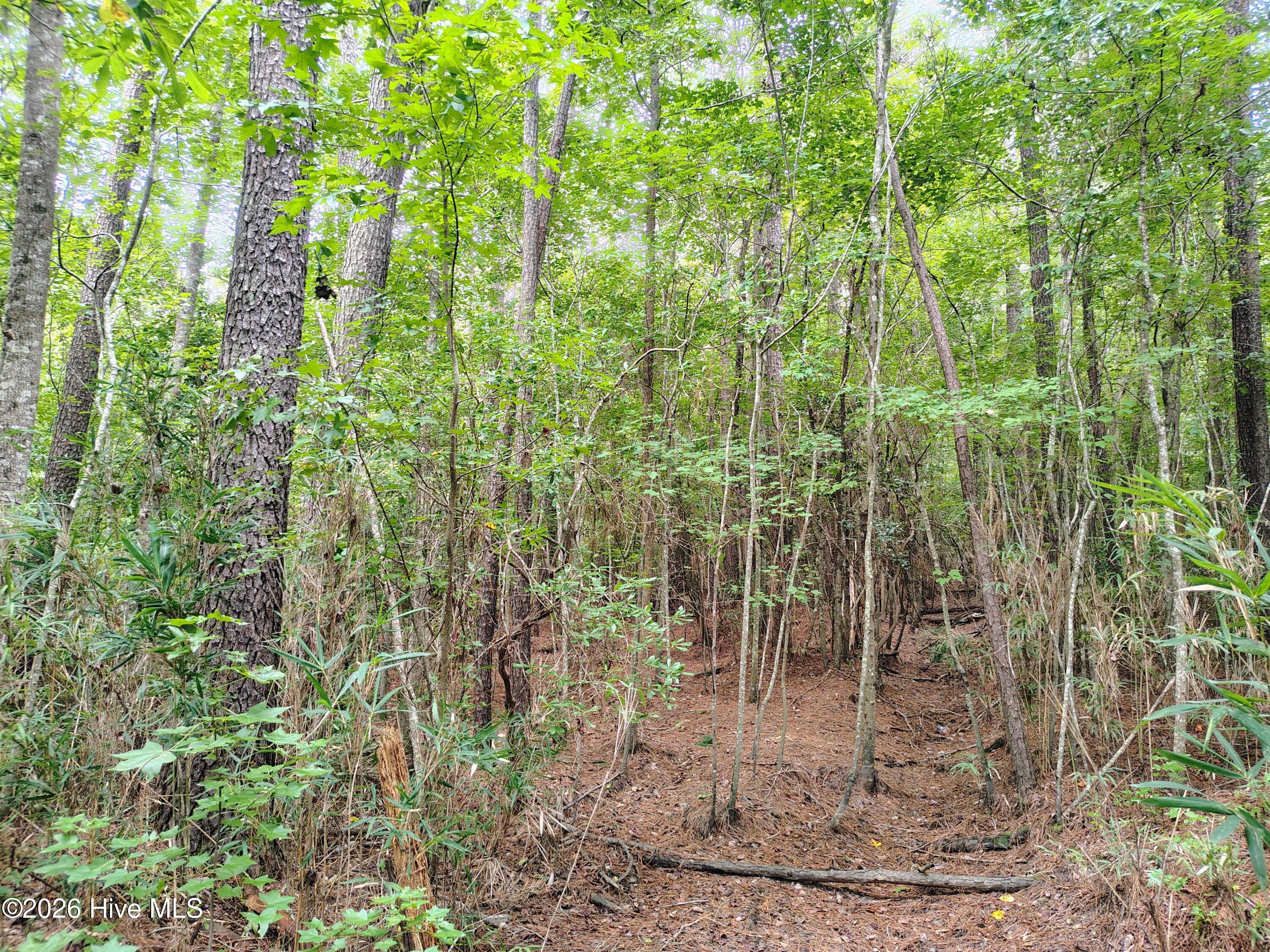 Lot 45 45 Near 519 Deer Lane Property Photo 8