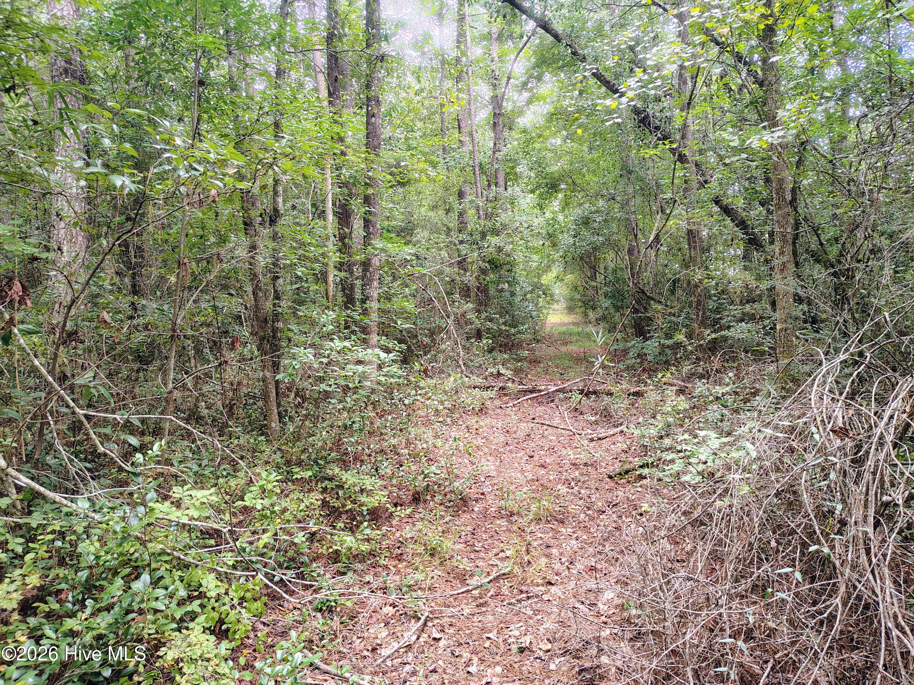 Lot 45 45 Near 519 Deer Lane Property Photo 9