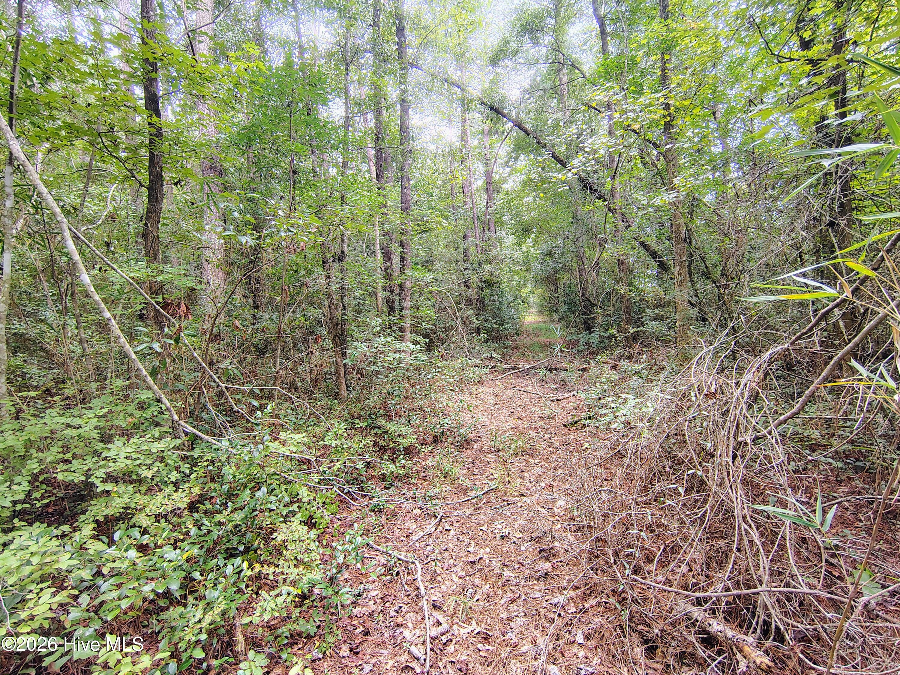 Lot 45 45 Near 519 Deer Lane Property Photo 10