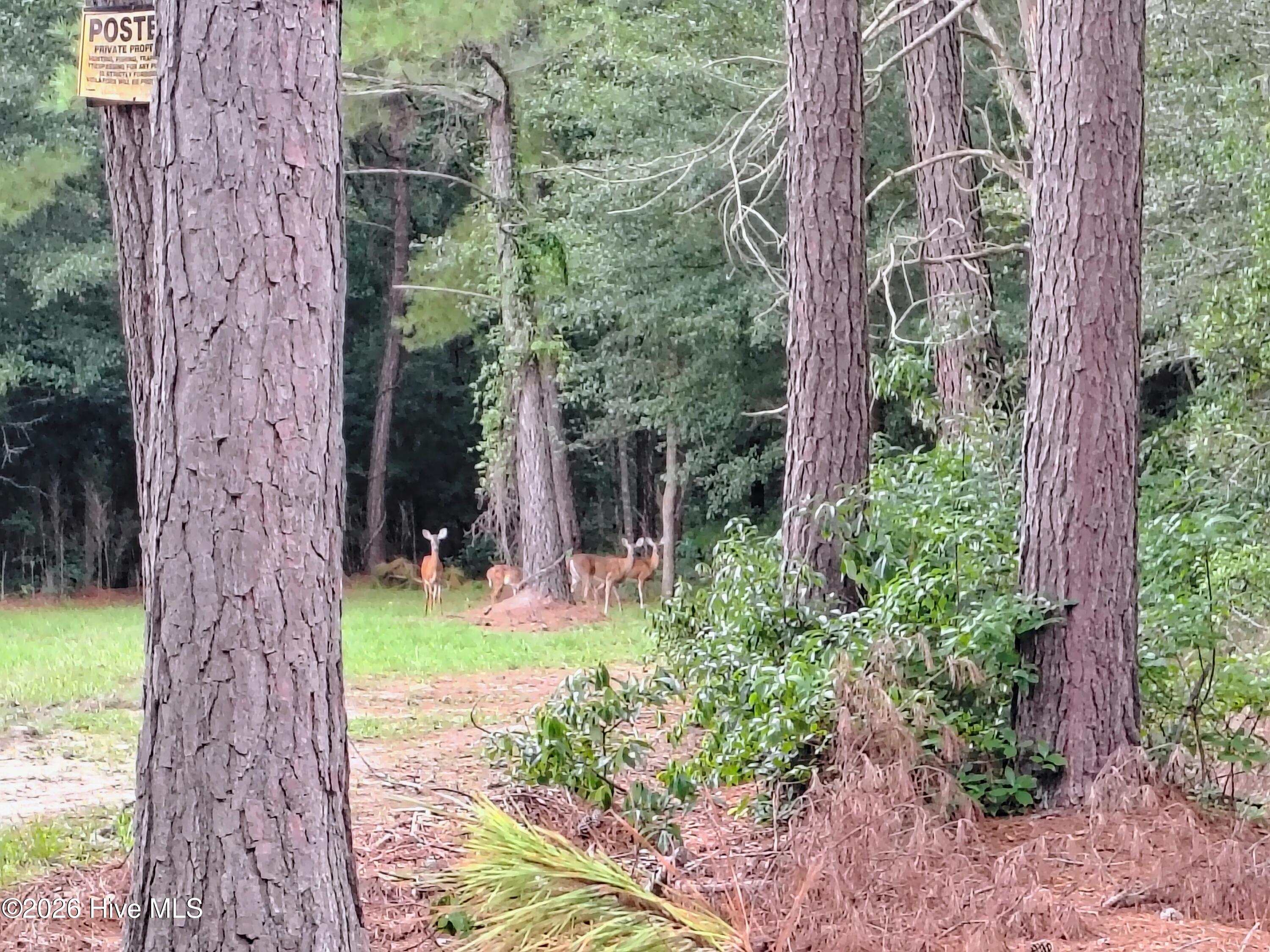 Lot 45 45 Near 519 Deer Lane Property Photo 12