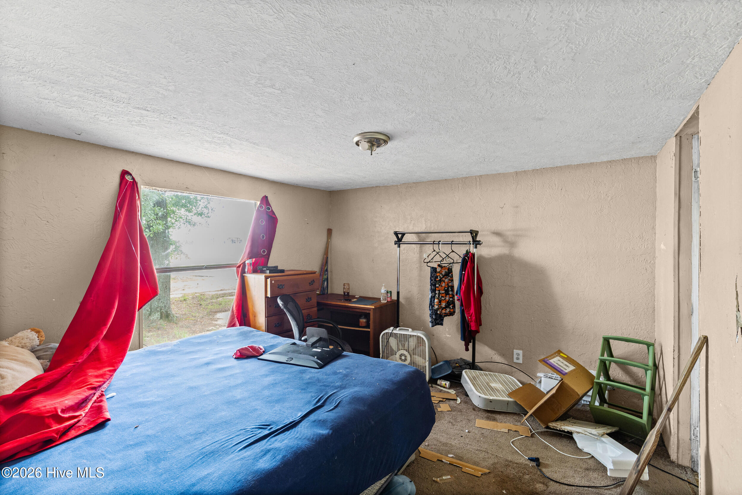 3653 Georgia Highway 88 Property Photo 17