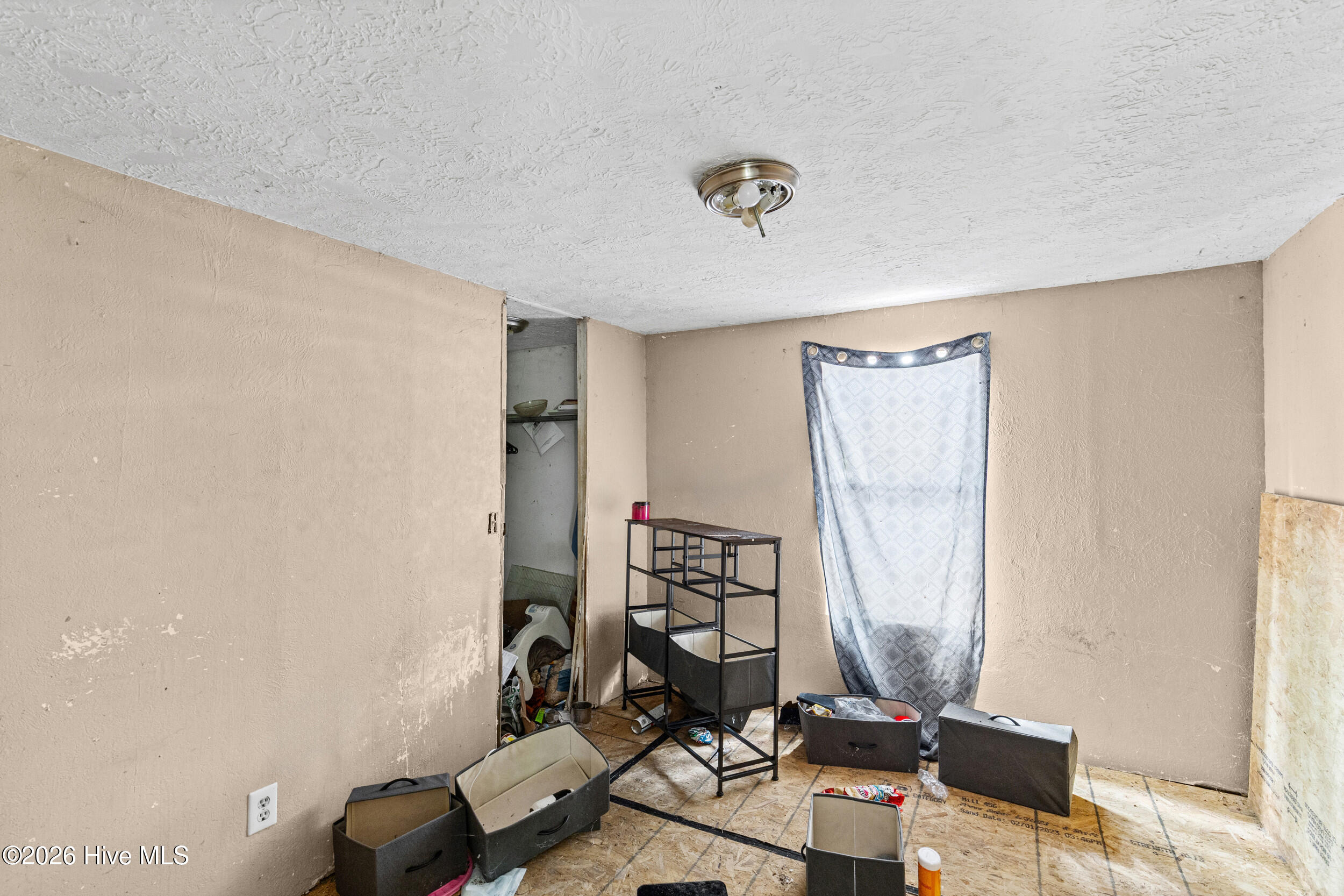 3653 Georgia Highway 88 Property Photo 21